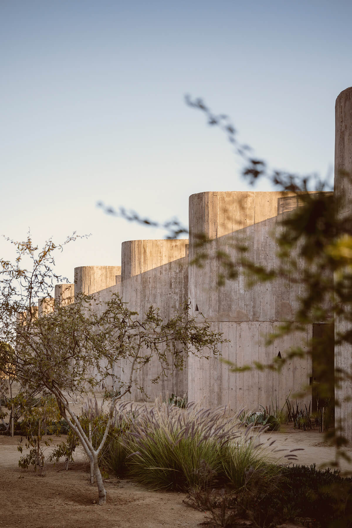 Paradero Todos Santos, Mexico — Concrete brutalist architecture with golden-hour light, desert landscaping, and birds in flight above minimalist courtyard.