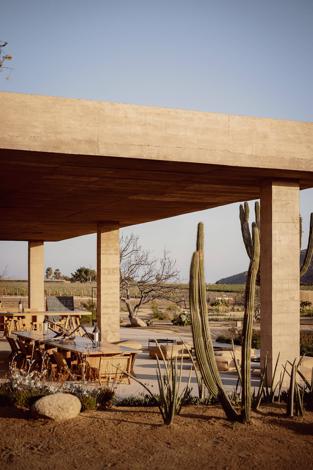 Paradero Todos Santos, Mexico — Concrete pavilion with wooden ceiling and dining area overlooking desert landscape with tall cacti and sparse vegetation.
