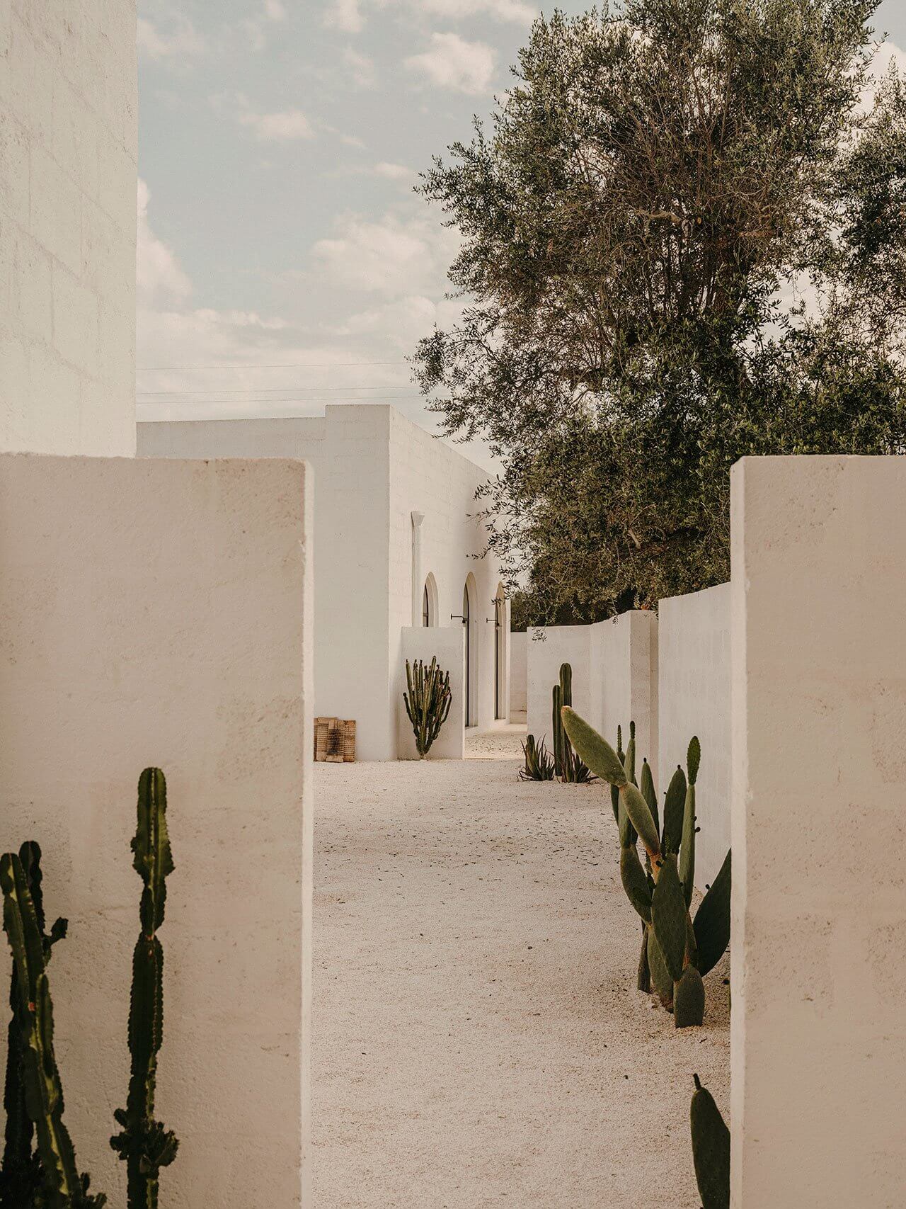 Borgo Gallana, Europe — Minimalist whitewashed courtyard with sculptural cacti, geometric walls, and verdant trees creating serene desert modernism.