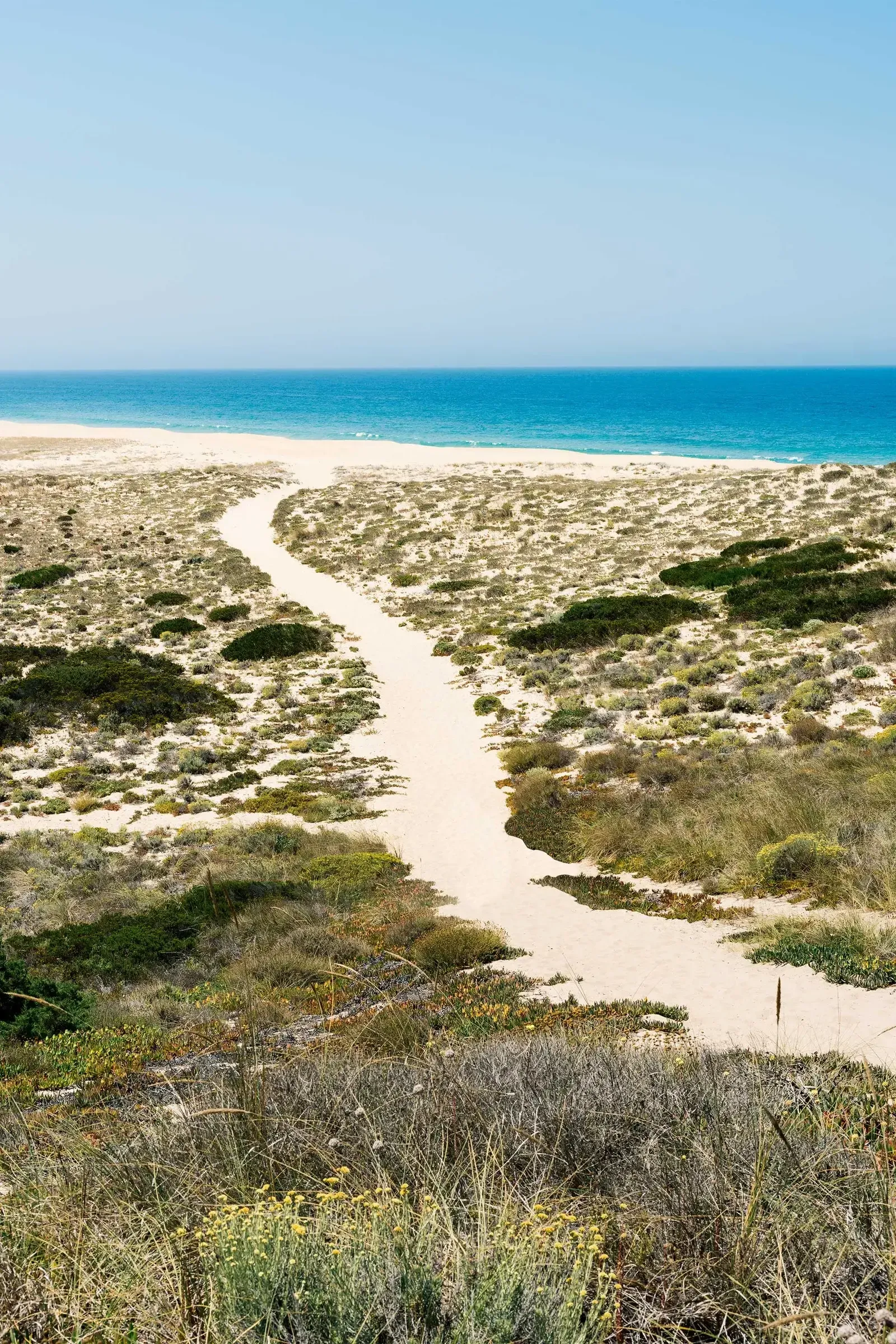 Melides Art, Portugal — Meandering sandy path through coastal dunes with native vegetation and turquoise ocean horizon under clear sky.