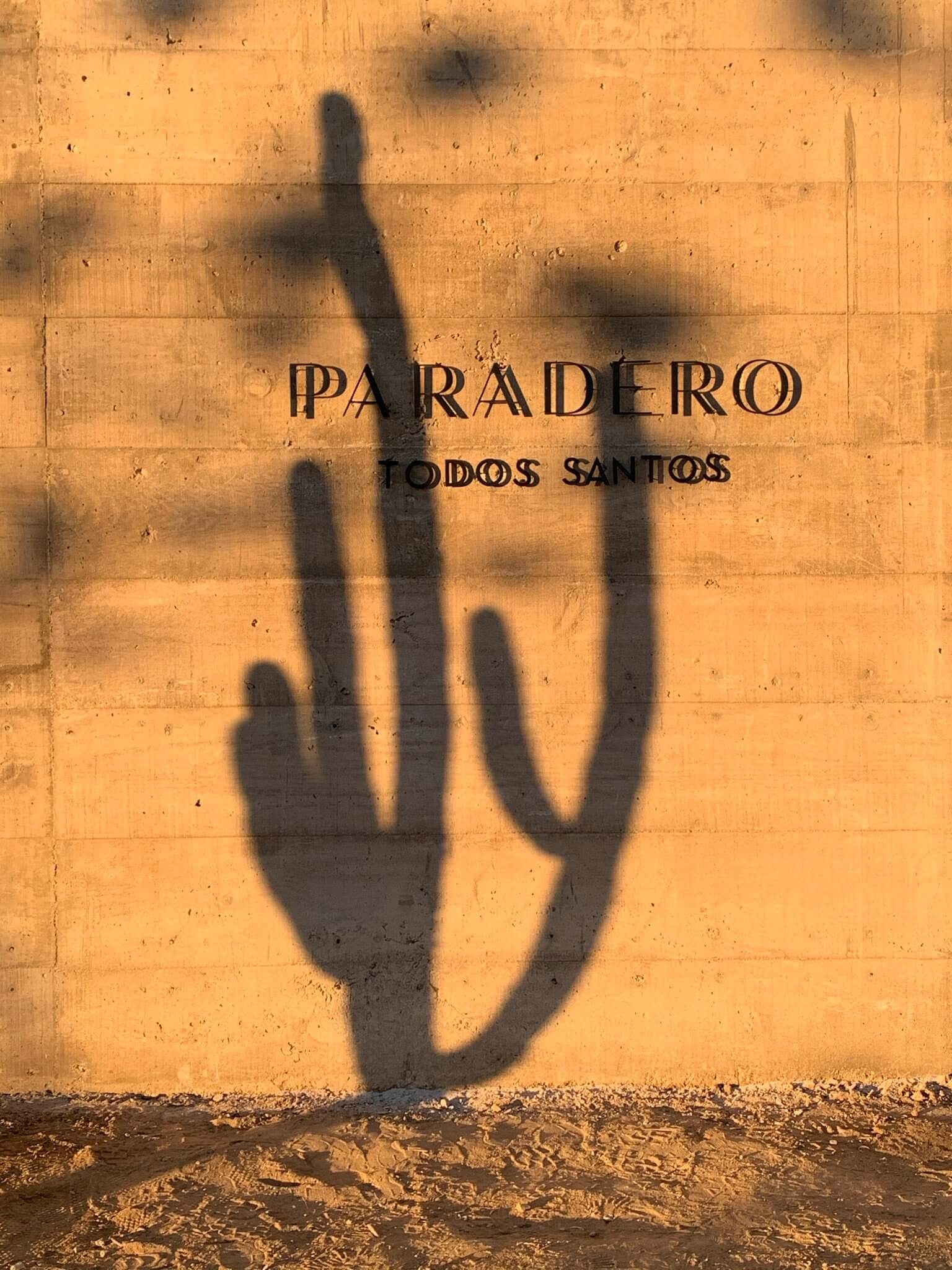 Shadow of a saguaro cactus cast on terracotta brick wall at Paradero Todos Santos.