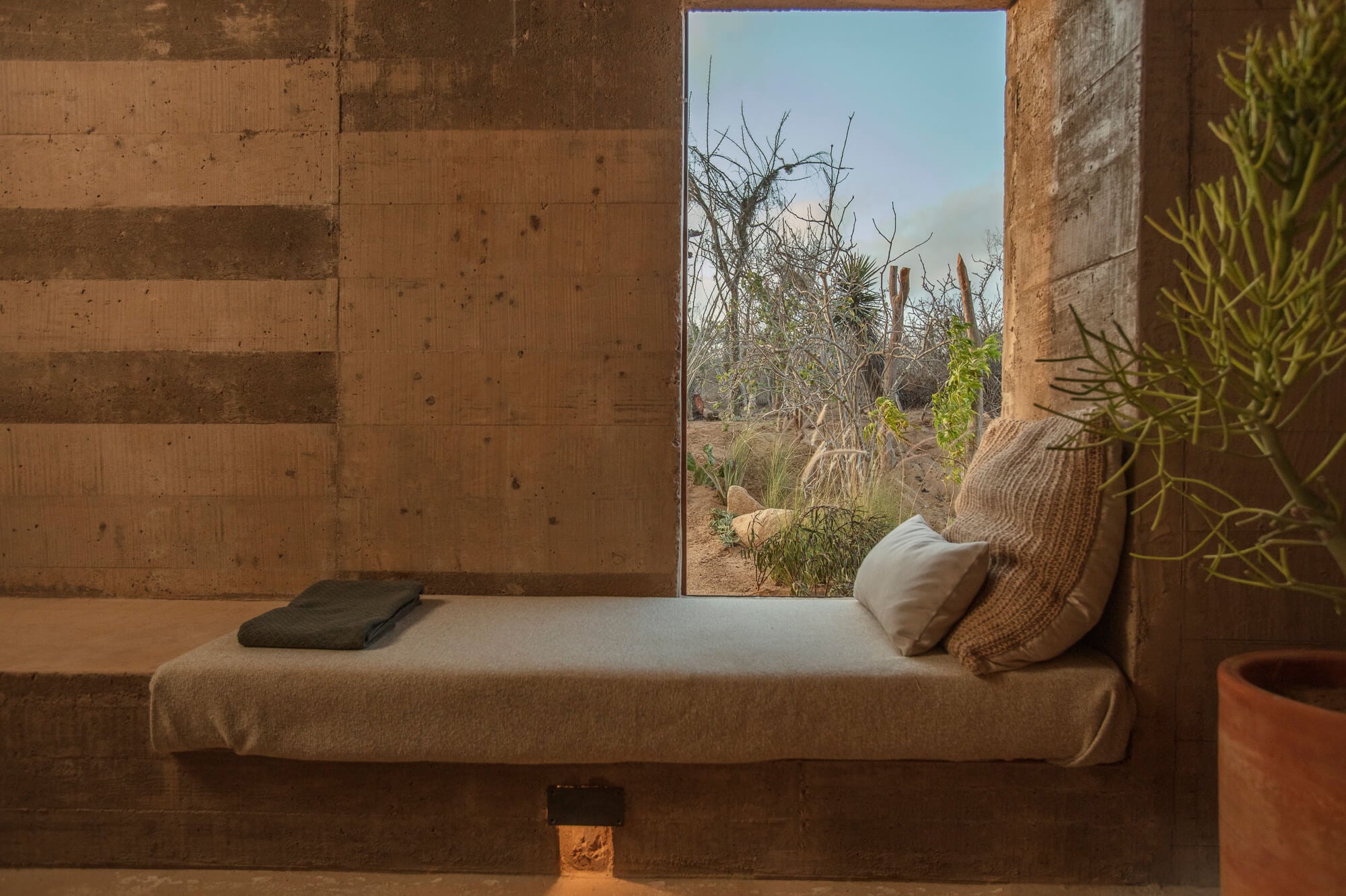 Paradero Todos Santos, Mexico — Terracotta window seat with cushions overlooking desert garden and cacti, minimal brutalist architecture with natural light.