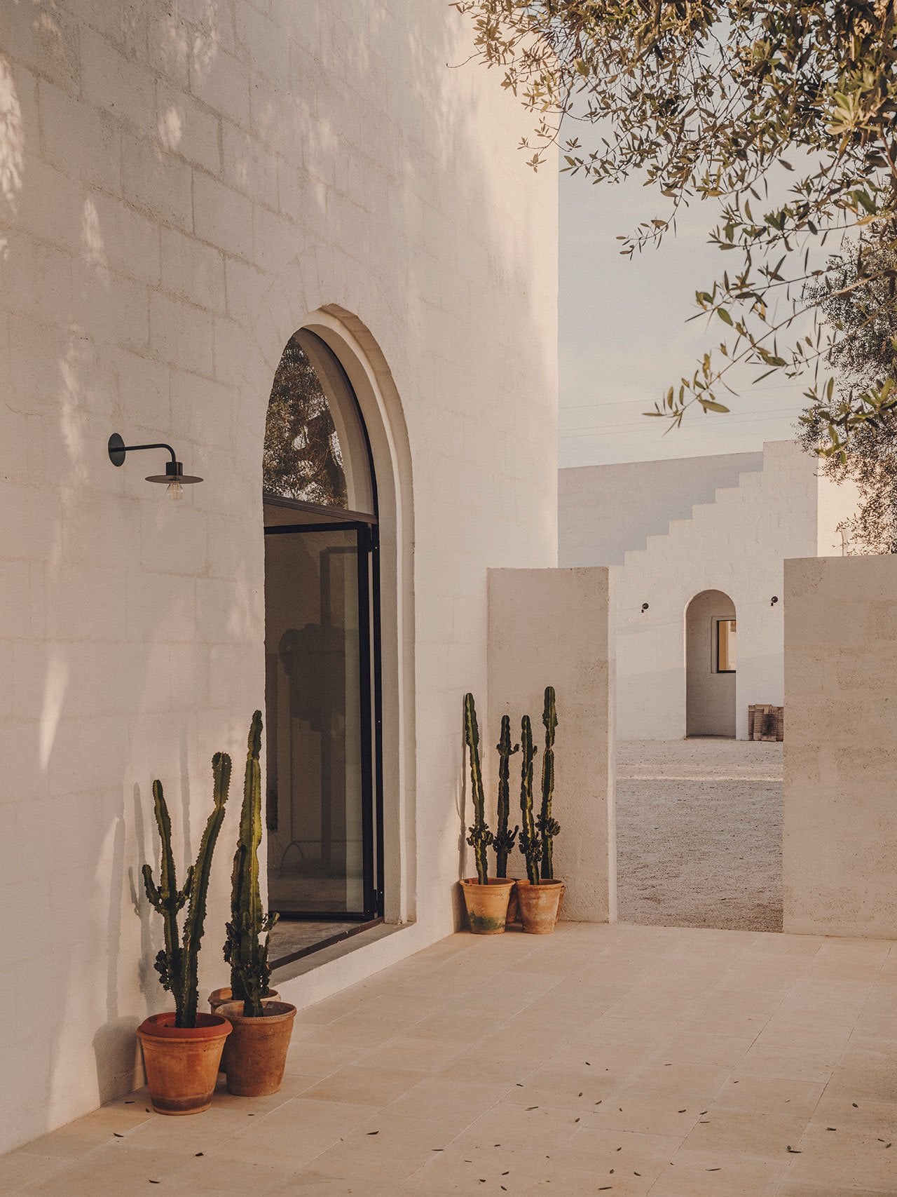 Borgo Gallana, Europe — Minimalist courtyard with arched doorway, terracotta potted cacti, whitewashed walls, and dappled olive tree shadows in warm Mediterranean light.
