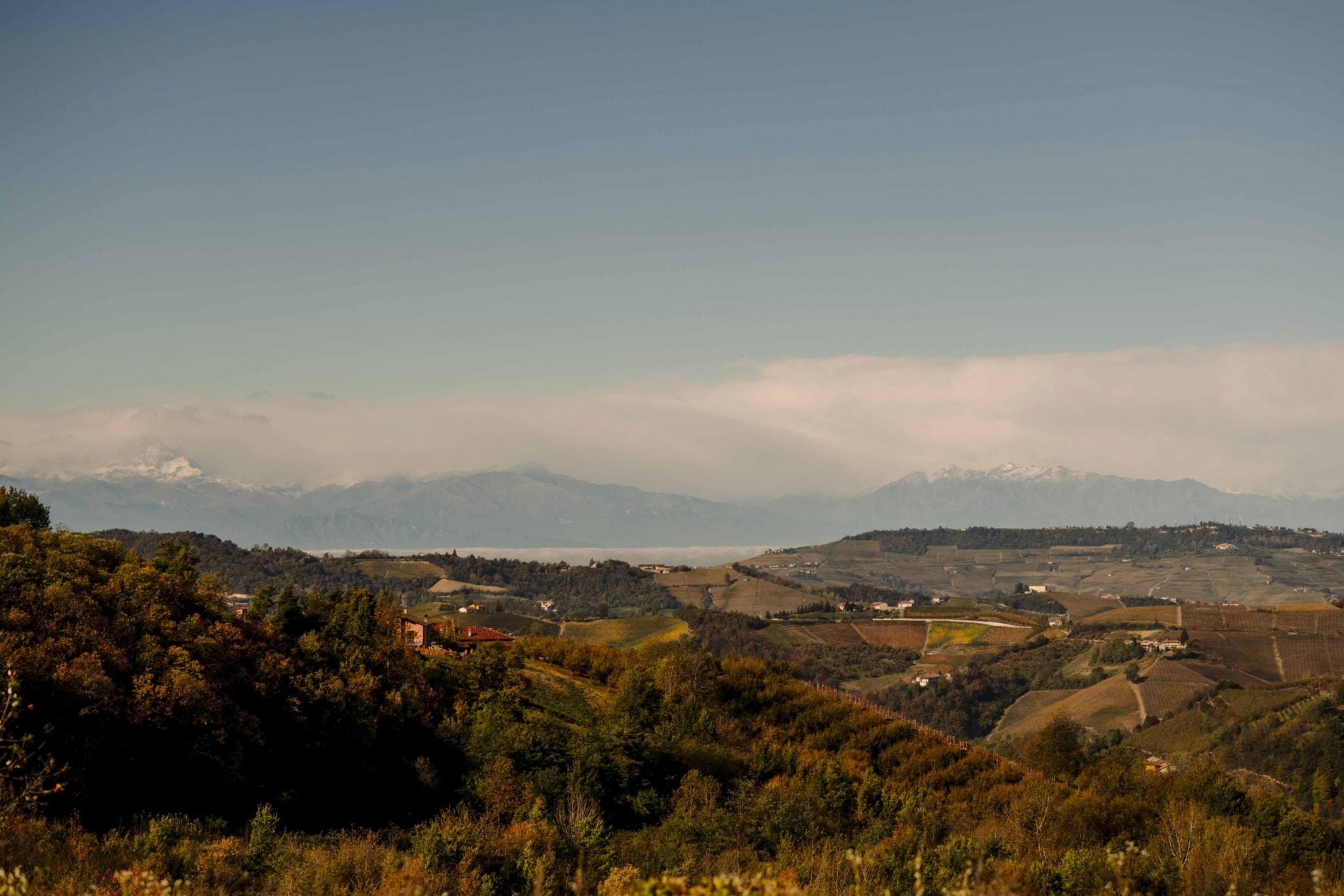 Casa di Langa, Piedmont, Italy — Rolling vineyard hills with autumn foliage, distant snow-capped Alps across misty valley, warm afternoon light on golden fields and scattered farmhouses.