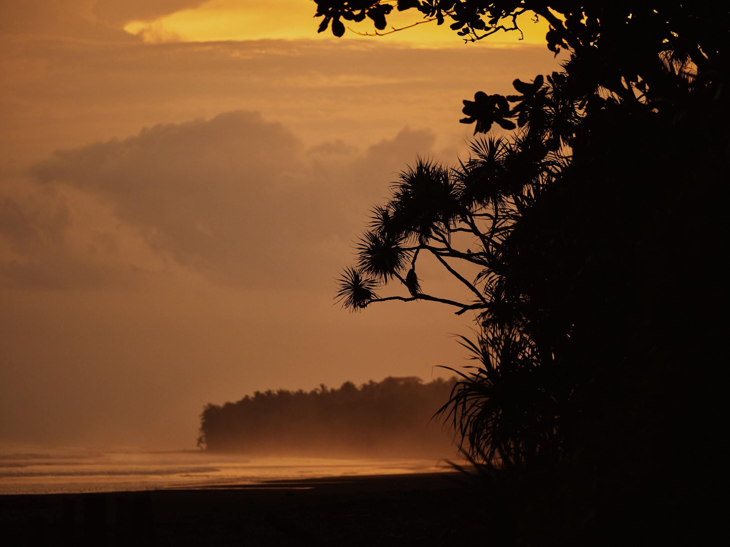 Lost Lindenberg, Asia — Tropical shoreline at golden hour with silhouetted palm fronds, misty treeline, and luminous sky reflected on beach sand.
