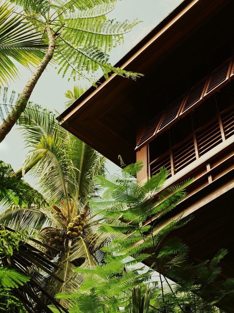 Lost Lindenberg, Asia — Tropical courtyard with palm trees, fern foliage, and wooden colonial architecture with louvered windows and warm ambient lighting.