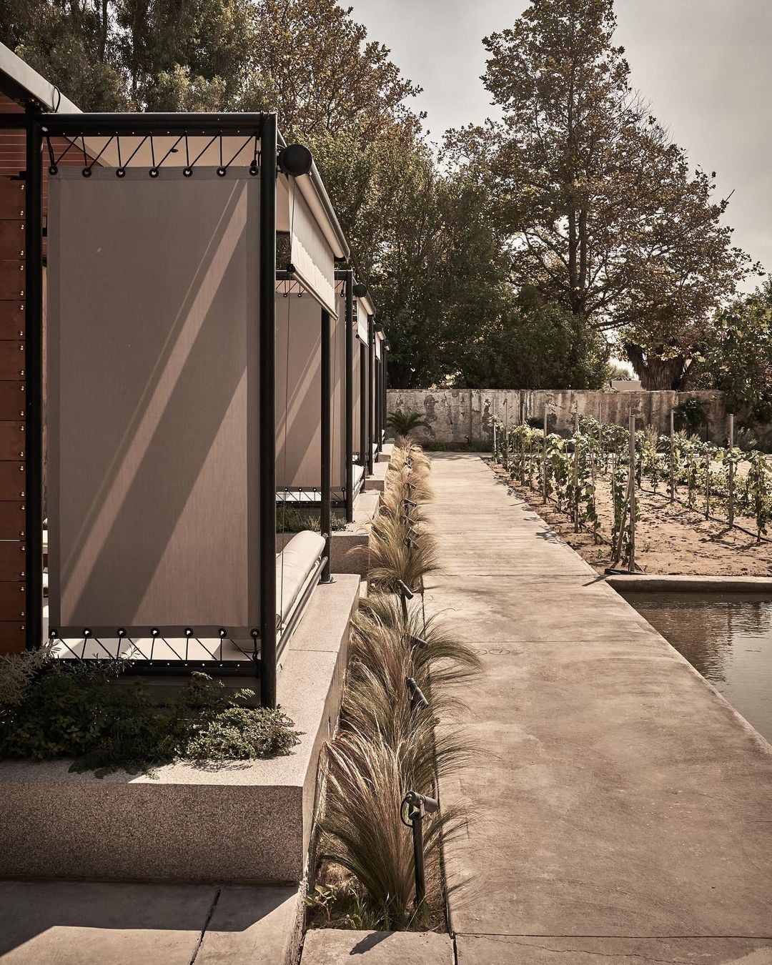 Dexamenes Seaside Hotel, Europe — Modernist pergola with sheer screening overlooking manicured vineyard rows and stone walls, afternoon light casting geometric shadows on terracotta paving.