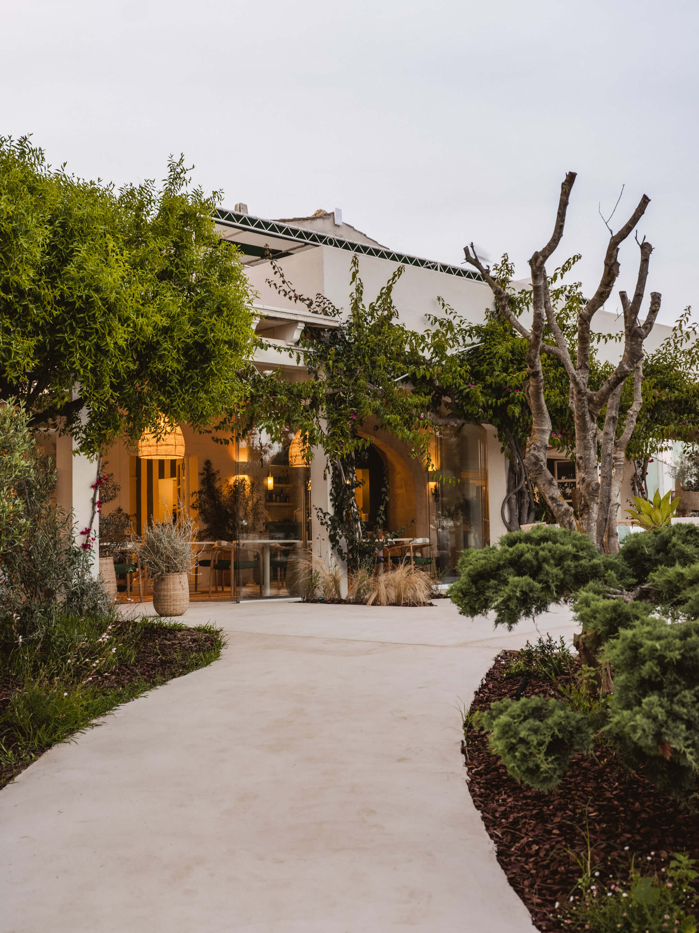 Morvedra Nou, Balearic Islands — Modernist courtyard with pollarded trees, cream stone facade, golden-hour interior lighting, and minimalist Mediterranean landscaping.