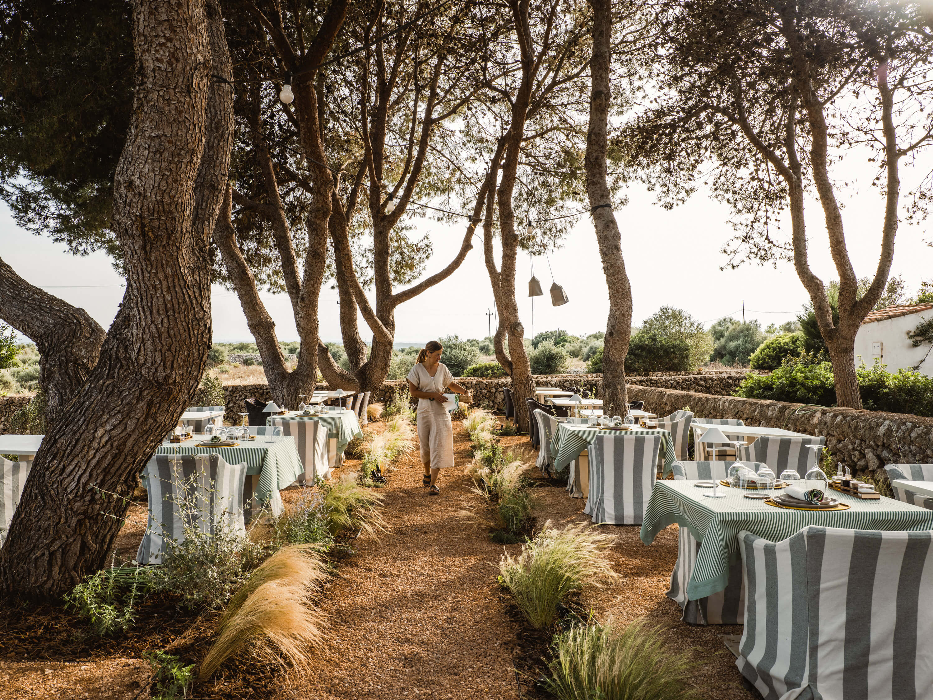 Morvedra Nou, Balearic Islands — Outdoor dining under ancient olive trees with striped tablecloths, natural light, and Mediterranean landscape.