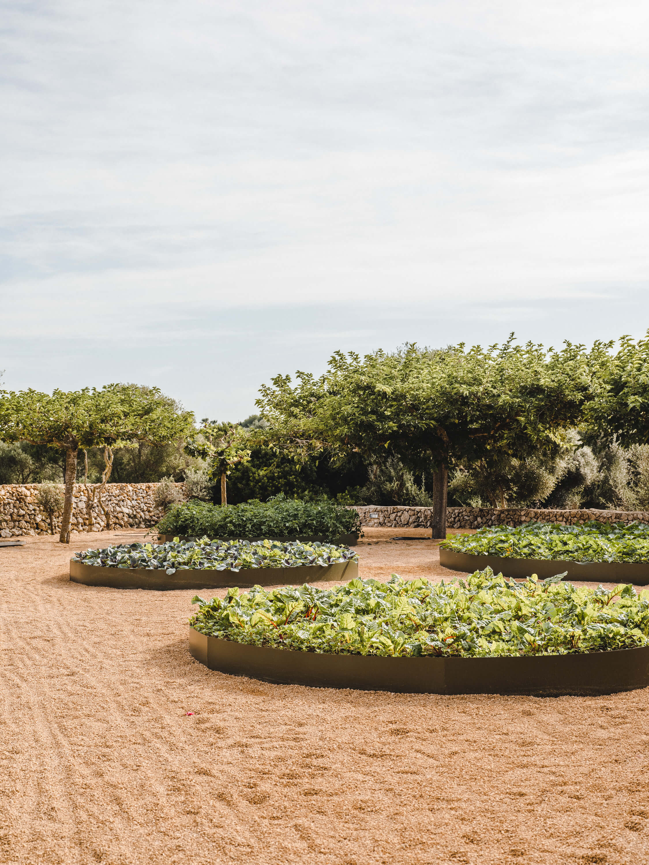 Morvedra Nou, Balearic Islands — Curved raised garden beds with Mediterranean vegetables on terracotta soil, stone walls, and mature trees under bright daylight.