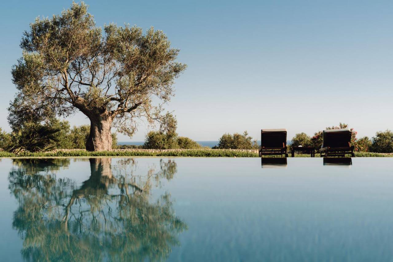 Torralbenc, Balearic Islands — Ancient olive tree reflected in still water with traditional boats and Mediterranean horizon beyond.