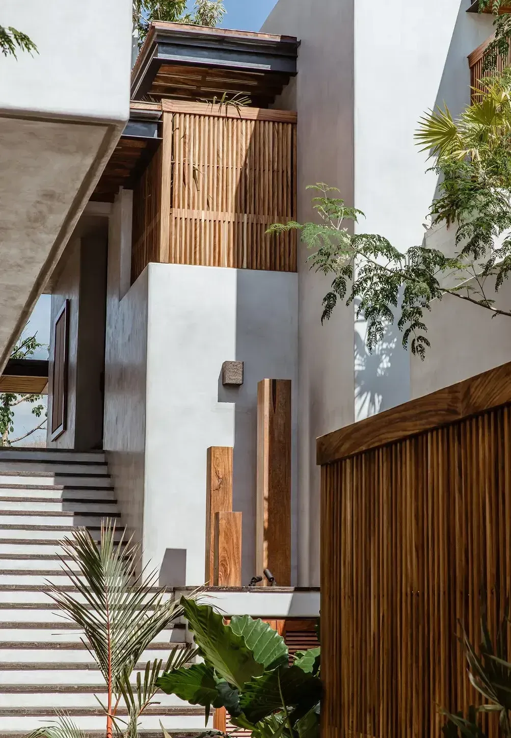 Hotelito MUSA, Mexico — Modern white facade with wood-slat screening, concrete steps, and tropical plants casting dappled shadows in bright daylight.