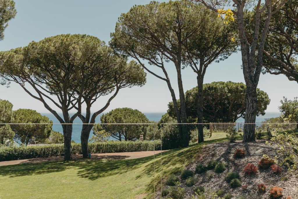 Lily of the Valley, Europe — Mediterranean garden with Italian stone pines, manicured lawn, gravel planting beds, and sea view beyond white fence.