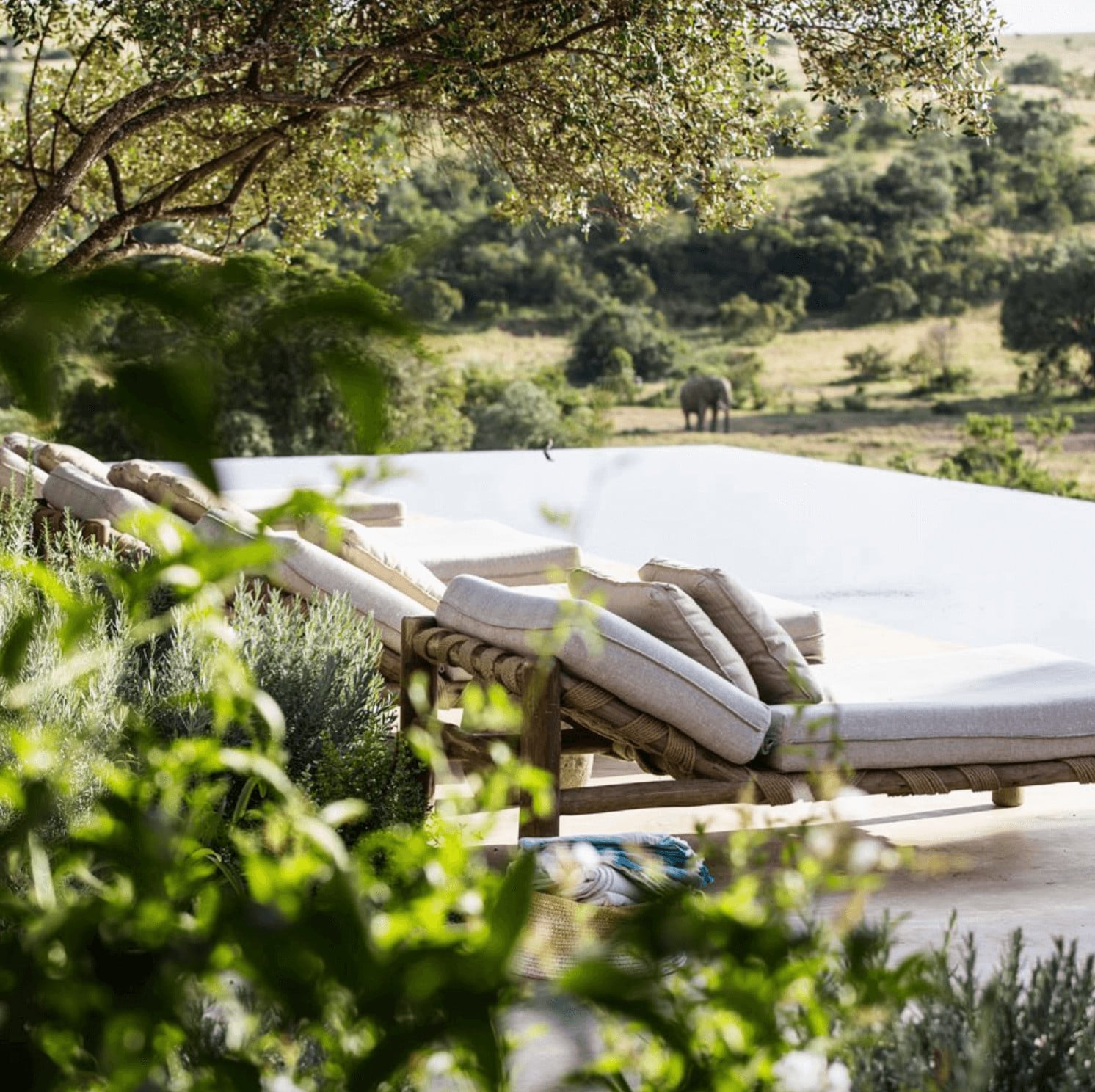 Arijiju Retreat, Africa — Wooden loungers with linen cushions on stone terrace overlooking savanna landscape with acacia trees and wildlife.