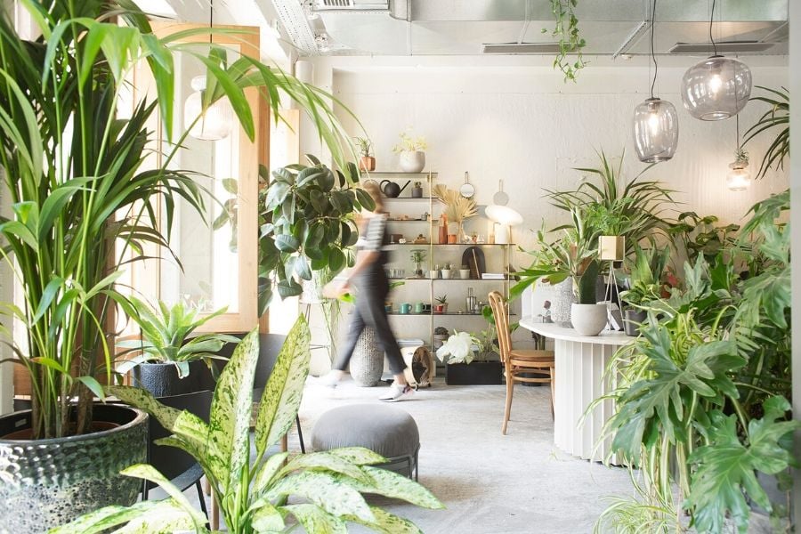 Minu Athens, Greece — Biophilic studio interior with cascading plants, pendant lighting, shelving, and natural daylight creating a verdant workspace atmosphere.