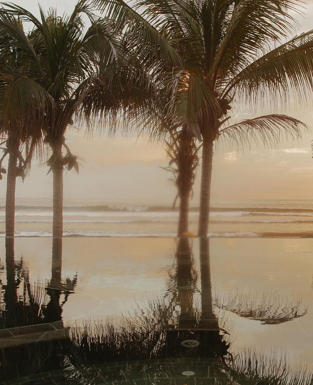 Hotelito MUSA, Mexico — Palm tree trunks reflected in still infinity pool at dawn, misty ocean horizon beyond, warm golden light.