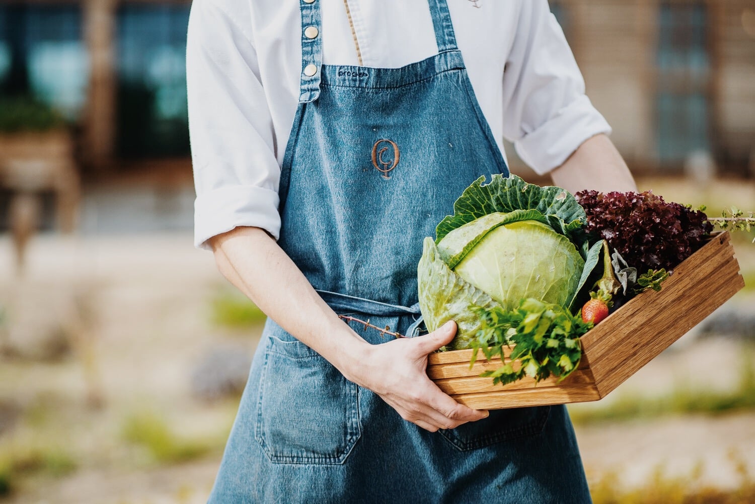 Quinta da Comporta, Europe — Person in denim apron holding wooden crate of fresh garden vegetables and greens in natural daylight.