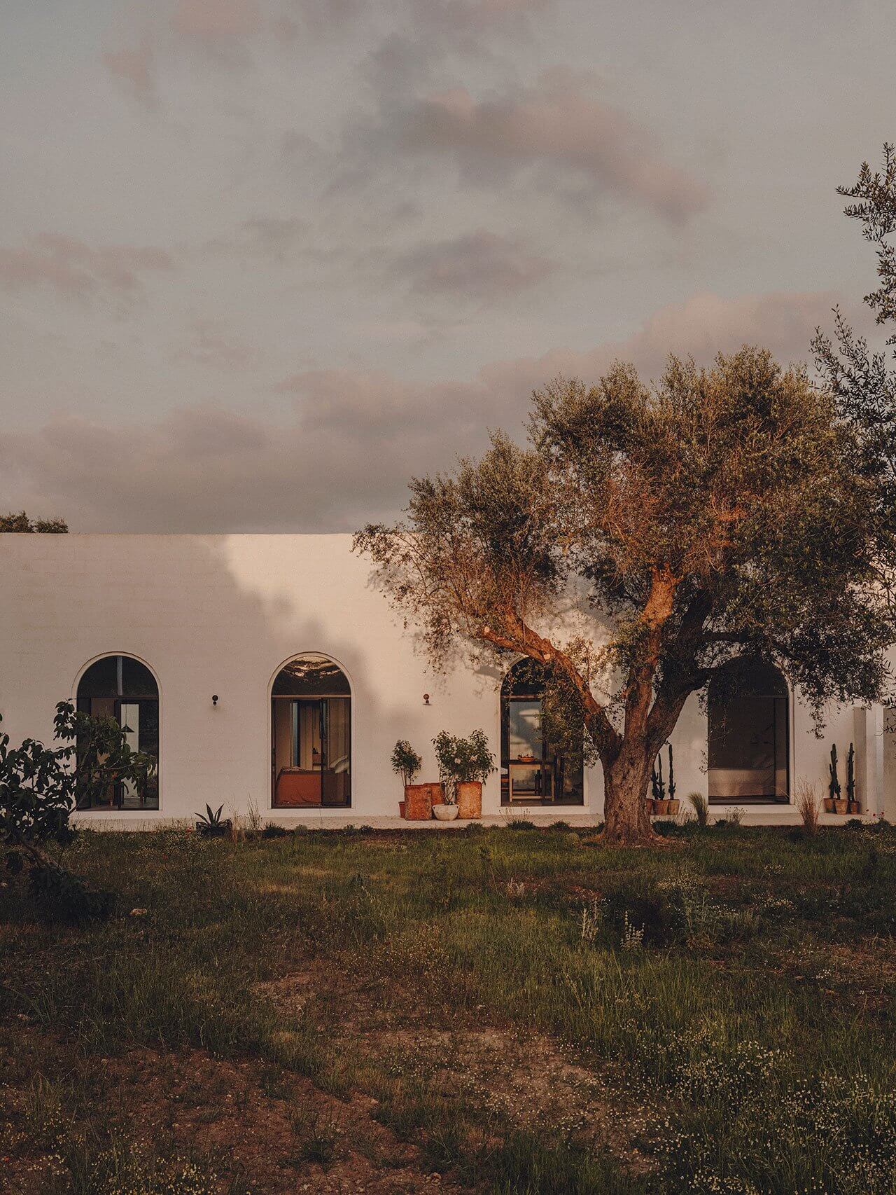 Borgo Gallana, Europe — Whitewashed rural villa with arched windows and ancient olive tree at golden hour, minimalist Mediterranean architecture in countryside setting.