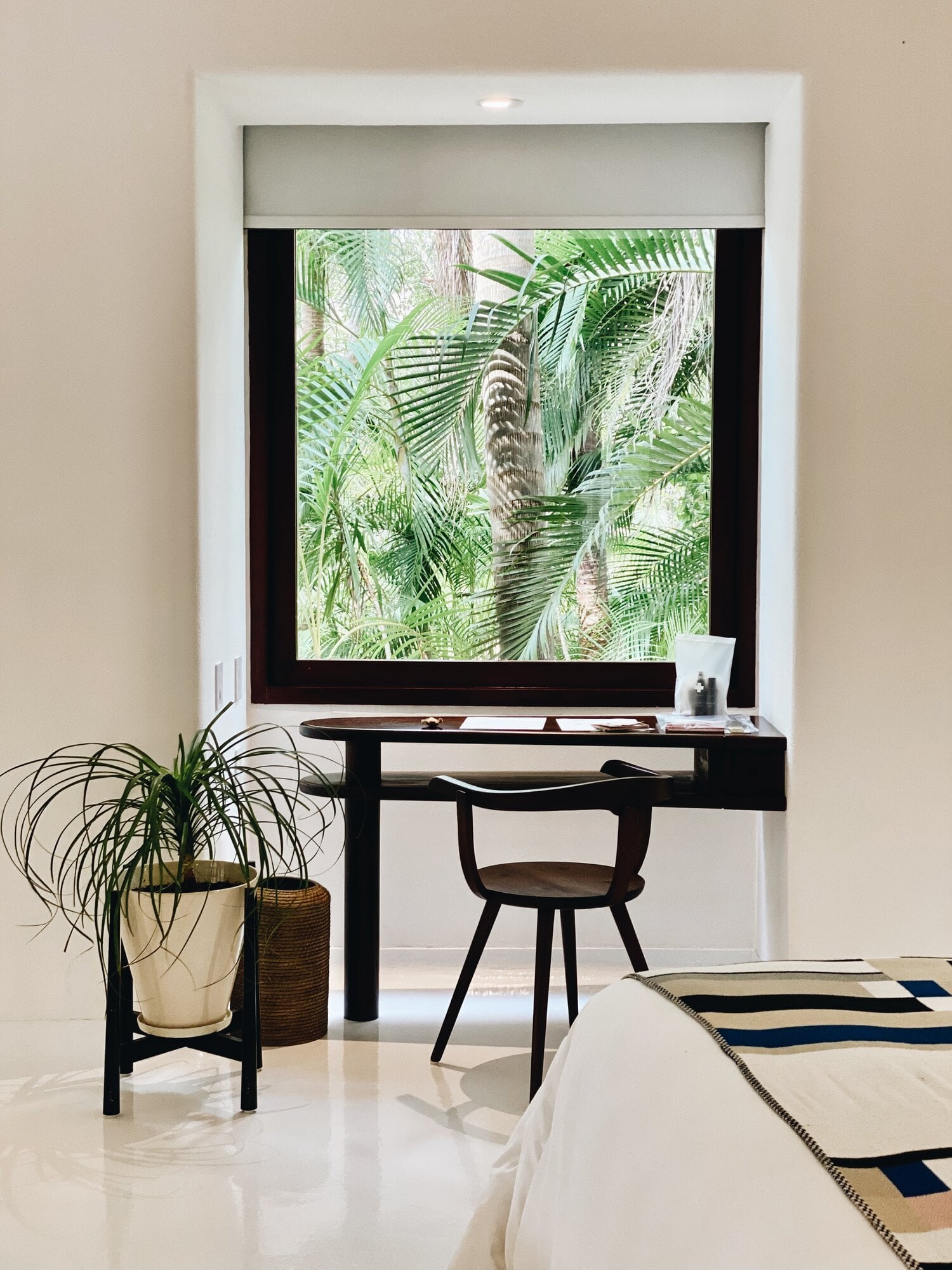 Hotel Esencia, Mexico — Minimalist workspace with black desk and chair facing large window framing lush tropical palm foliage, cream walls, potted plants, polished floors.