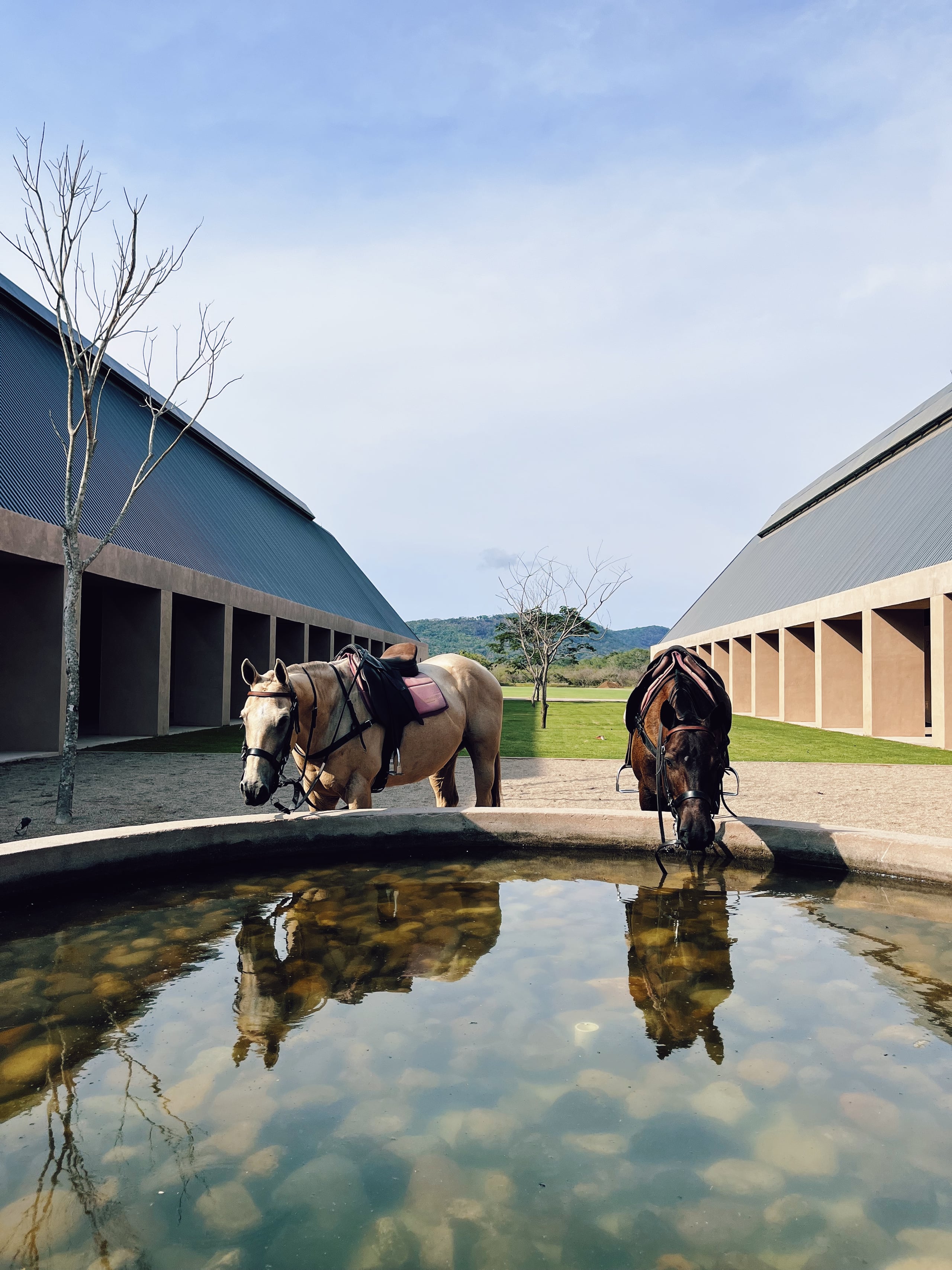 One&Only Mandarina, Mexico — Two saddled horses drinking from a water trough between modernist stable structures with green pasture and mountains beyond.