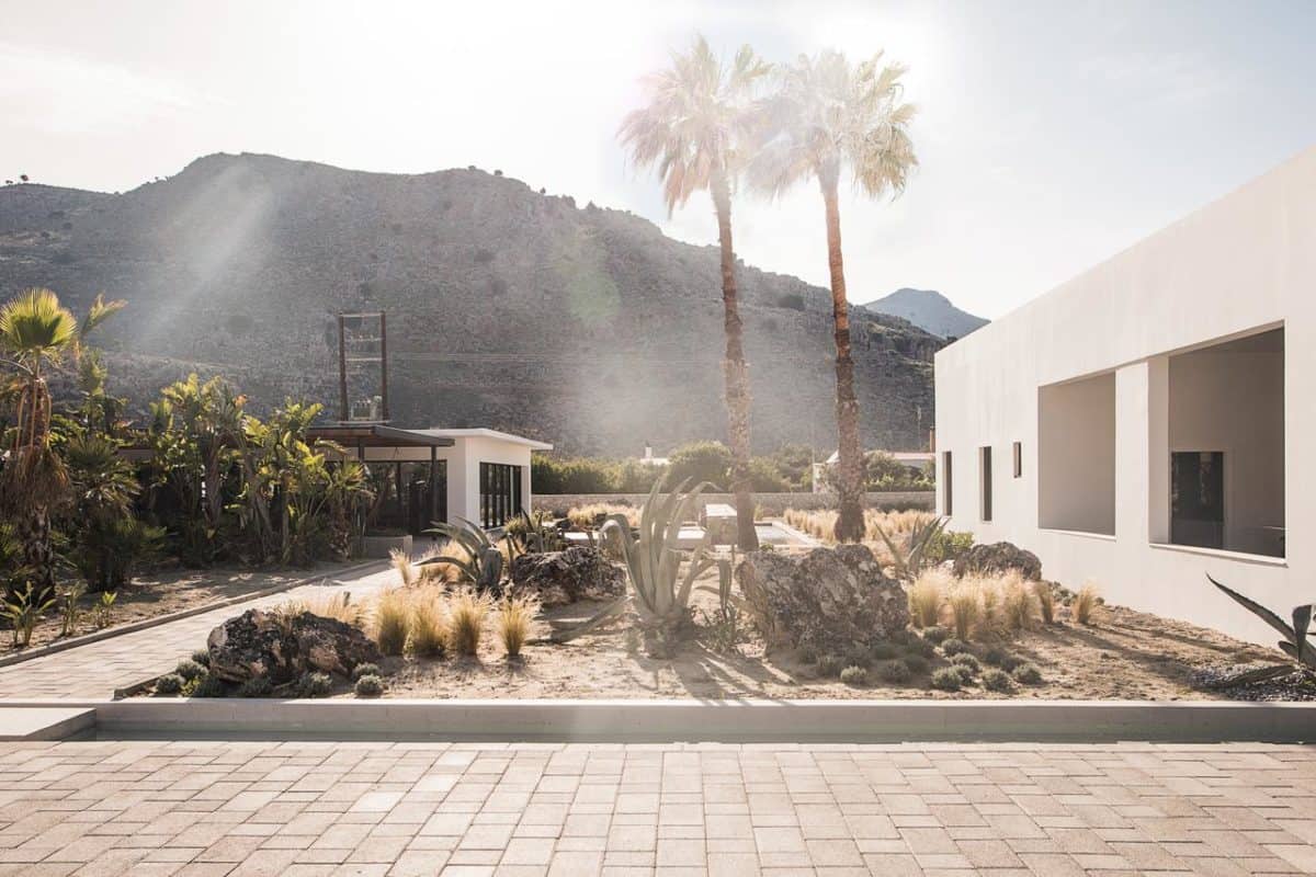 Casa Cook Rhodes, Europe — Minimalist white architecture with palm trees, desert landscaping, and mountain views in golden afternoon light.