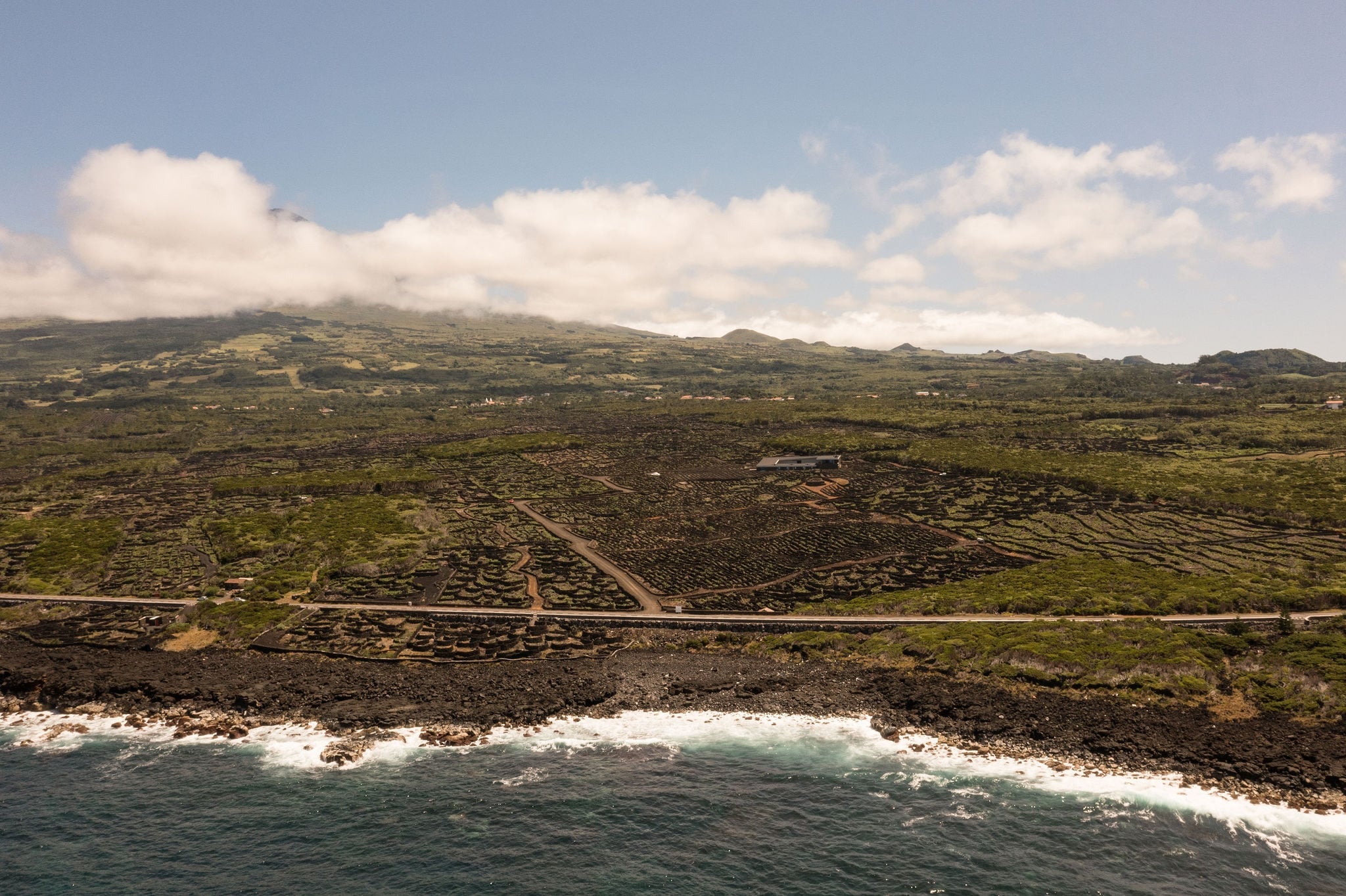 Azores Wine Company, Europe — Coastal volcanic landscape with lava fields, terraced vineyards, and dramatic mountain backdrop under clouded sky.