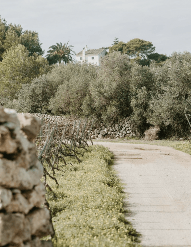 Bodegas Binifadet, Balearic Islands, Spain — White stone villa nestled among olive groves with dry-stone walls and palm trees under overcast Mediterranean light.