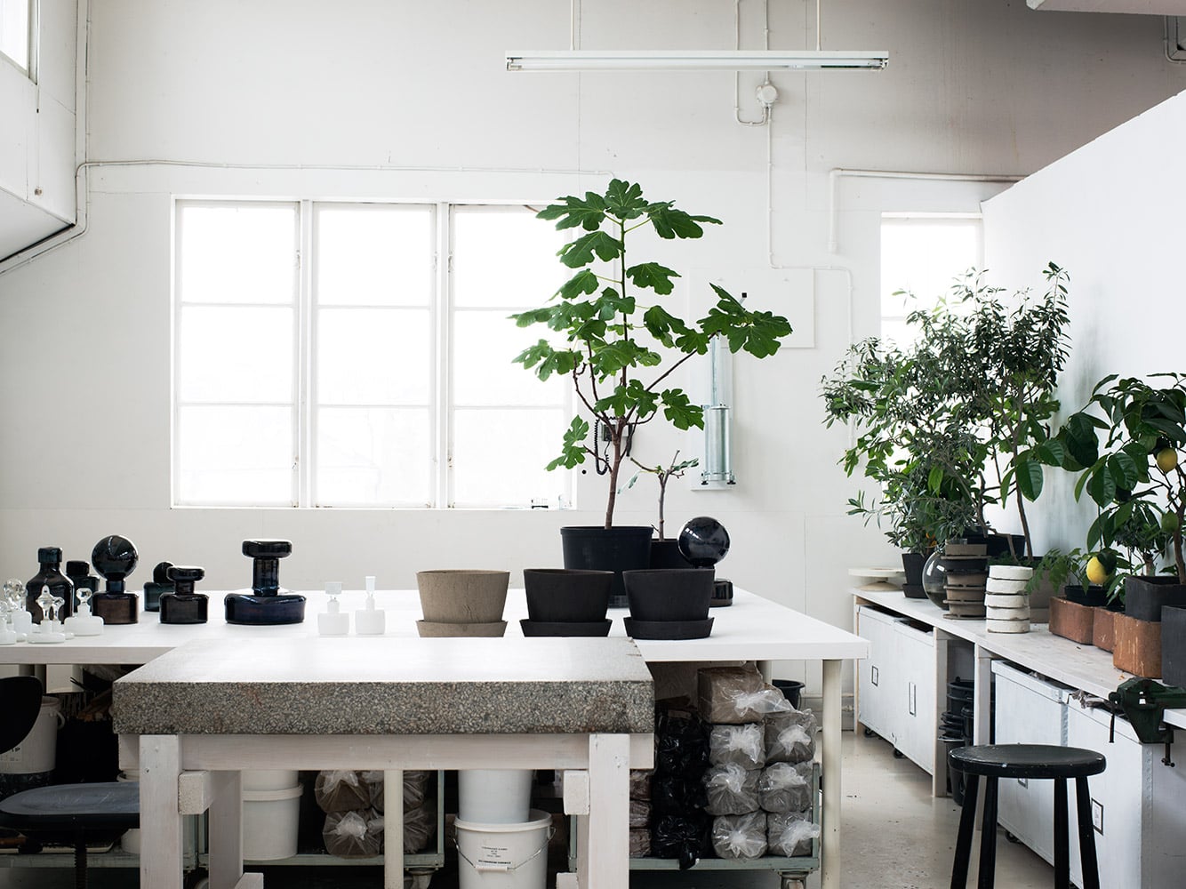 Carina Seth Andersson, Europe — Minimalist studio workspace with potted plants, concrete worktable, black vessels, and north-facing windows flooding bright natural light.