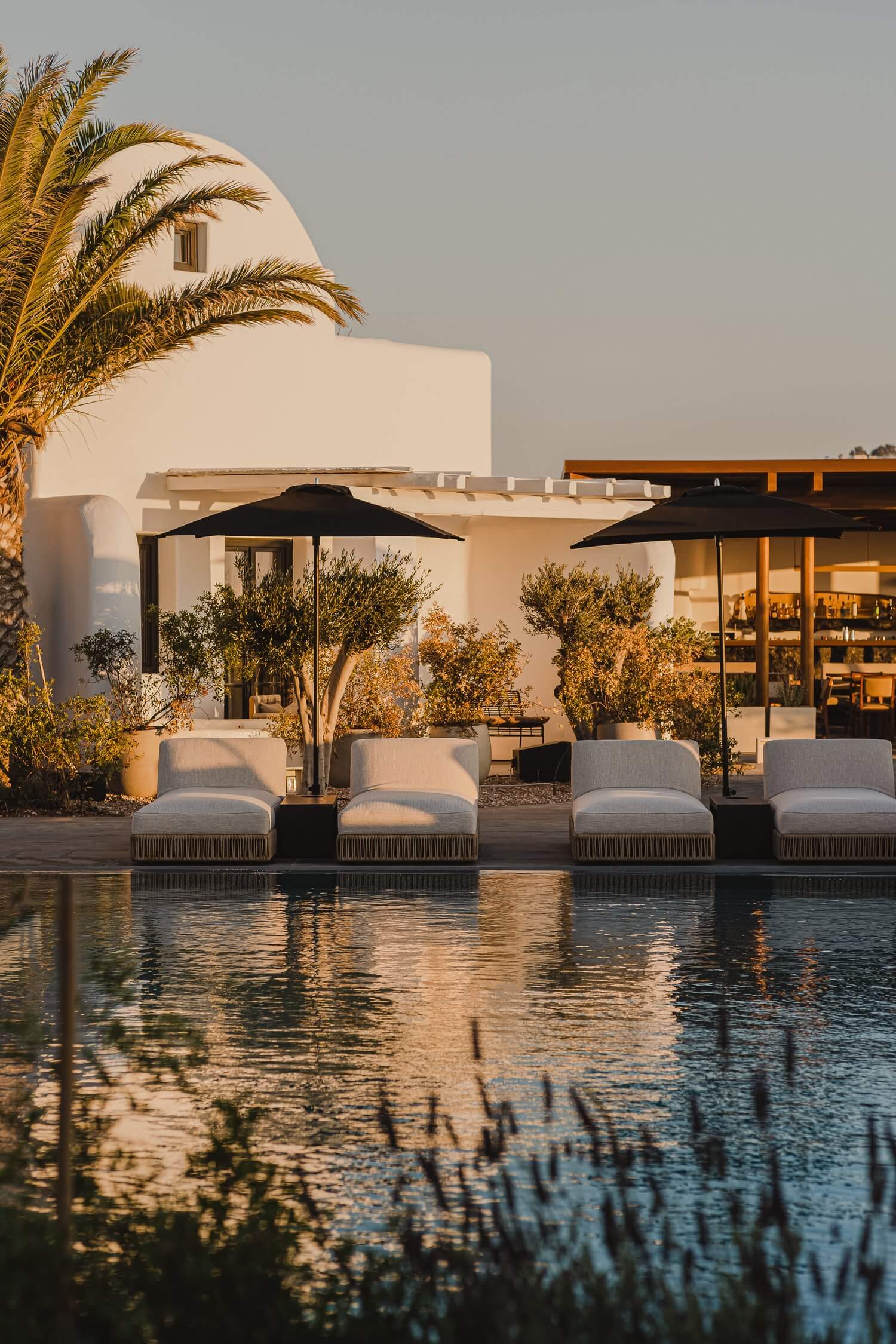 Nobu Santorini, Greece — Poolside lounge with linen seating, black umbrellas, olive trees, and whitewashed architecture at golden hour.