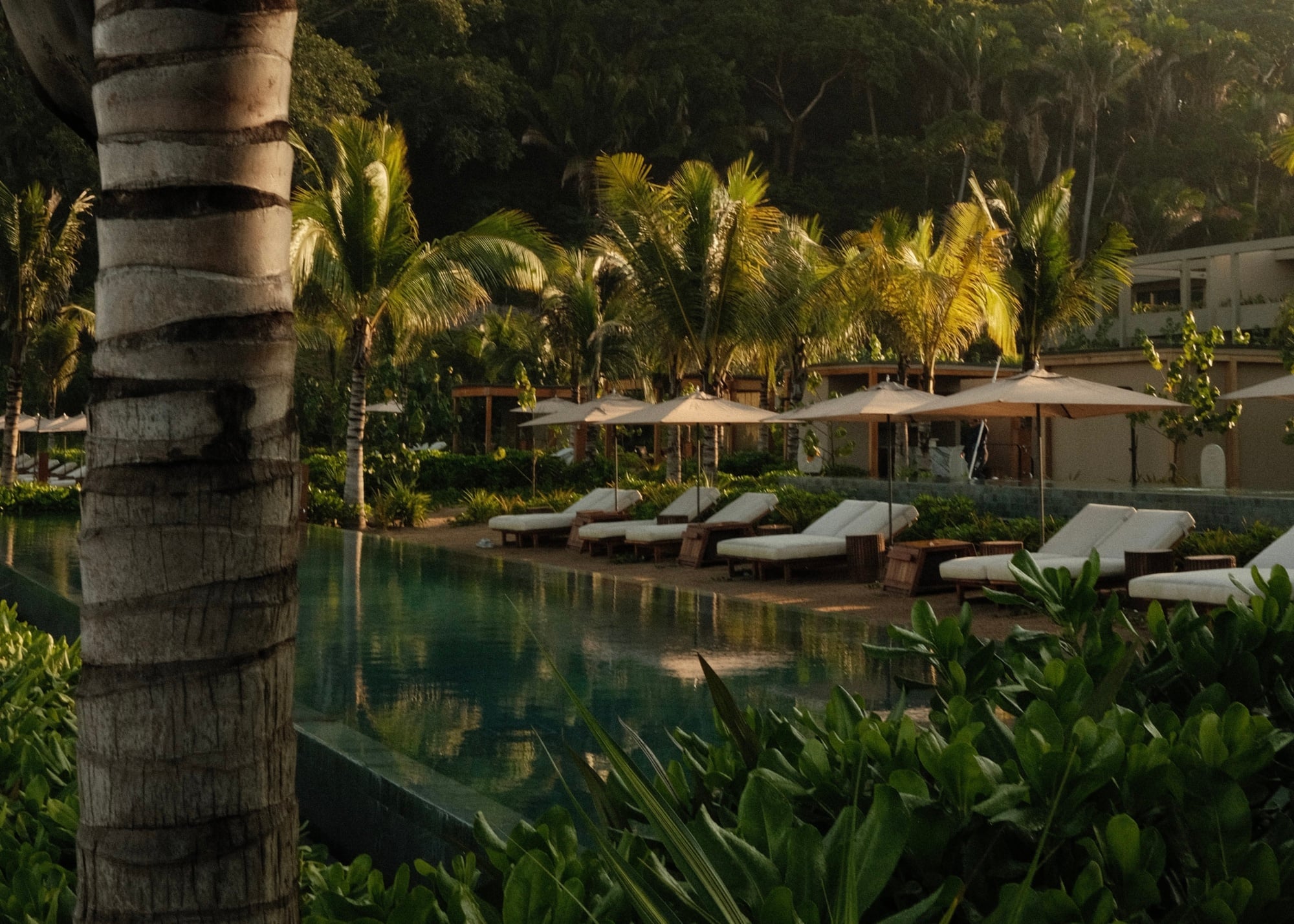 Rosewood Mandarina, Mexico — Palm-lined lagoon with lounge beds, umbrellas, and natural stone architecture in dappled sunlight.