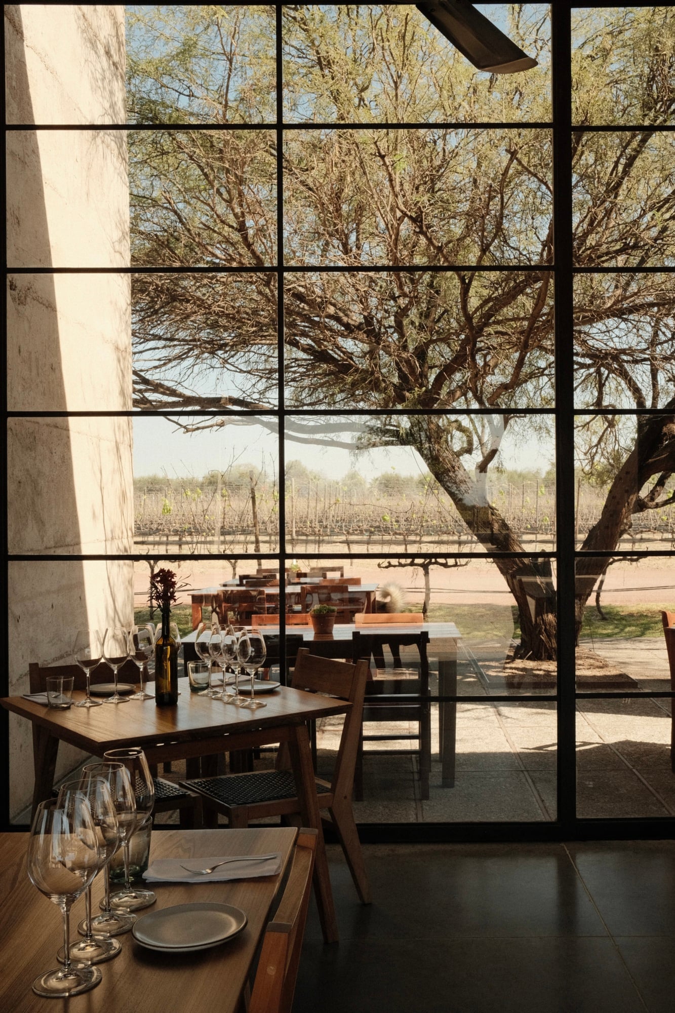 Cuna de Tierra: Modern Architecture Meets Mexican Terroir — Cuna de Tierra — Dining room with floor-to-ceiling windows framing bare oak trees and vineyard rows, minimalist wooden tables, wine glasses, natural light, modernist architecture.