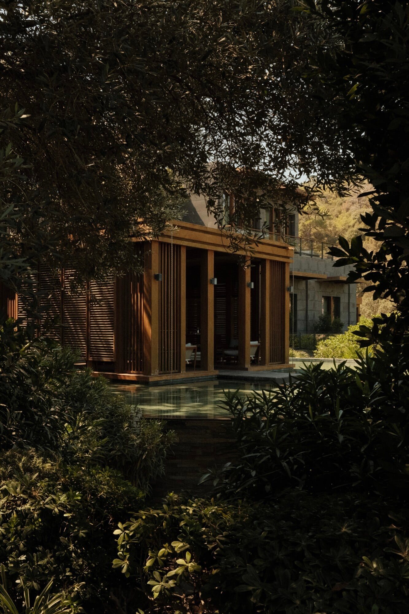 The Spa at Mandarin Oriental, Asia — Modern wooden pavilion with vertical slats nestled among lush tropical foliage, reflecting pool, warm afternoon light filtering through canopy.