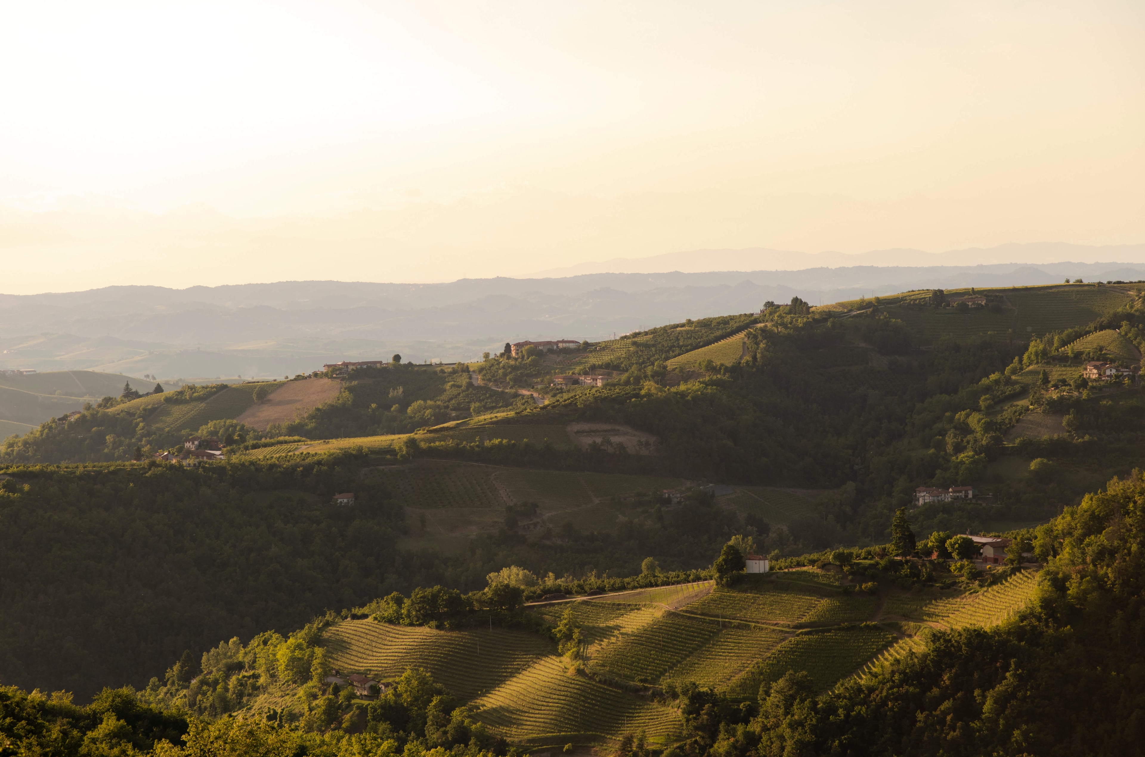 Casa di Langa, Italy — Rolling vineyards and forested hills at golden hour with scattered farmhouses across Piedmont countryside landscape