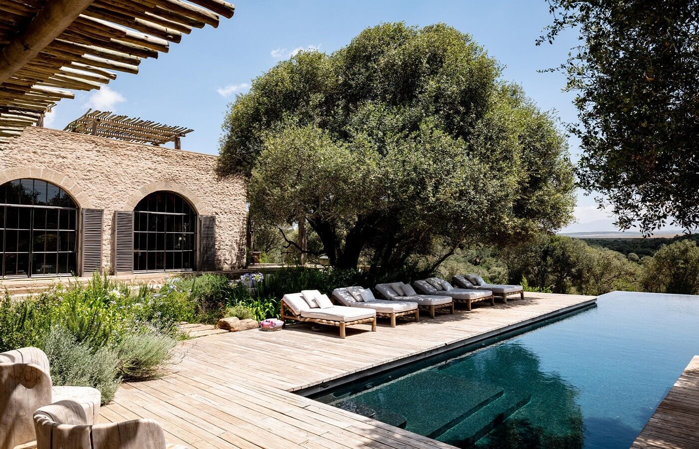 Arijiju Retreat, Africa — Infinity pool with teak deck, modernist stone villa, ancient olive tree, lounge chairs, savanna landscape view under clear sky.