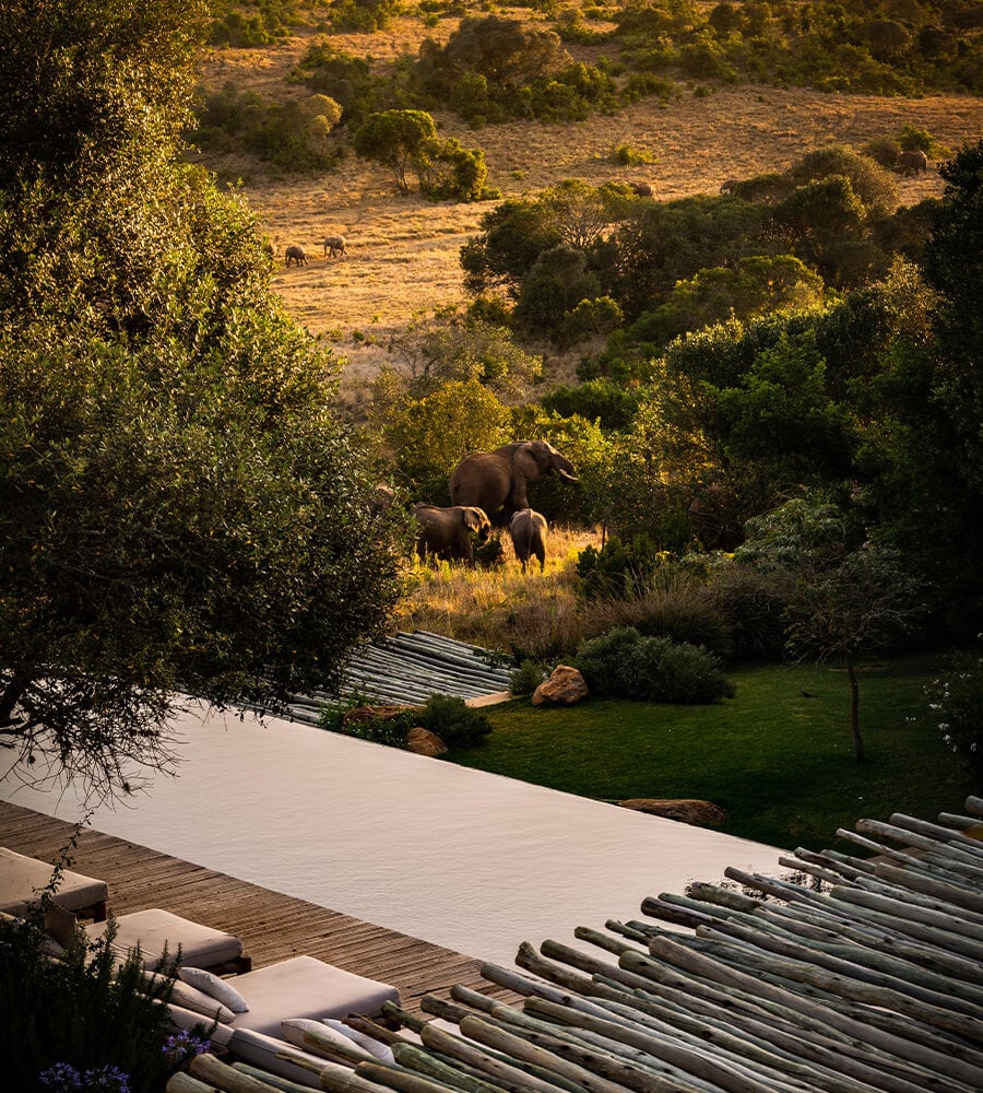 Arijiju Retreat, Africa — Wooden deck overlooking savanna landscape with elephants grazing among acacia trees, golden afternoon light, luxury safari architecture.
