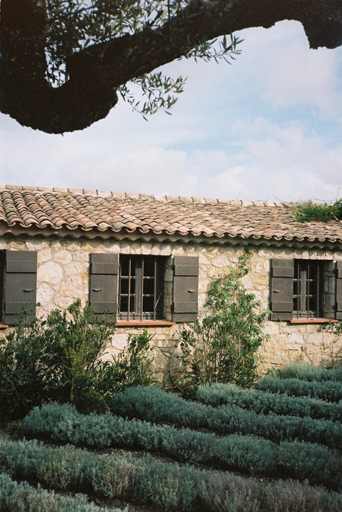 Epi 1959, Europe — Stone cottage facade with terracotta roof tiles, dark shutters, olive trees, Mediterranean garden, soft natural light.