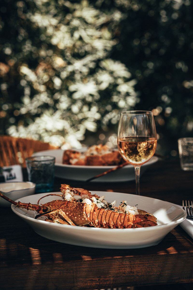 Club Restaurant, Europe — Grilled lobster with herb garnish on white plate, golden wine glass, dappled garden light through flowering vines, luxury coastal dining.