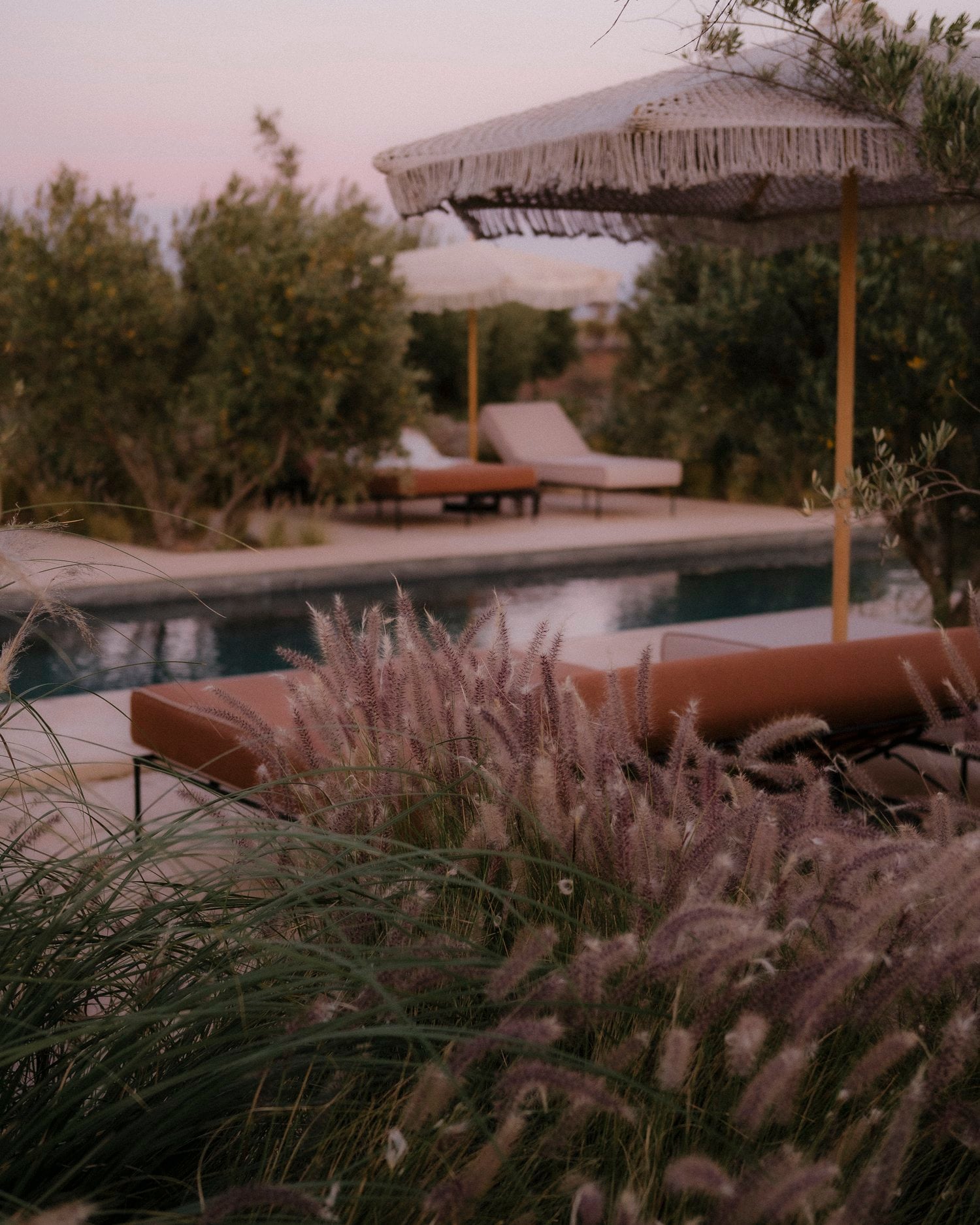 Farasha Farmhouse, Africa — Ornamental grasses and terracotta loungers beside pool with thatched umbrella and olive trees at dusk.