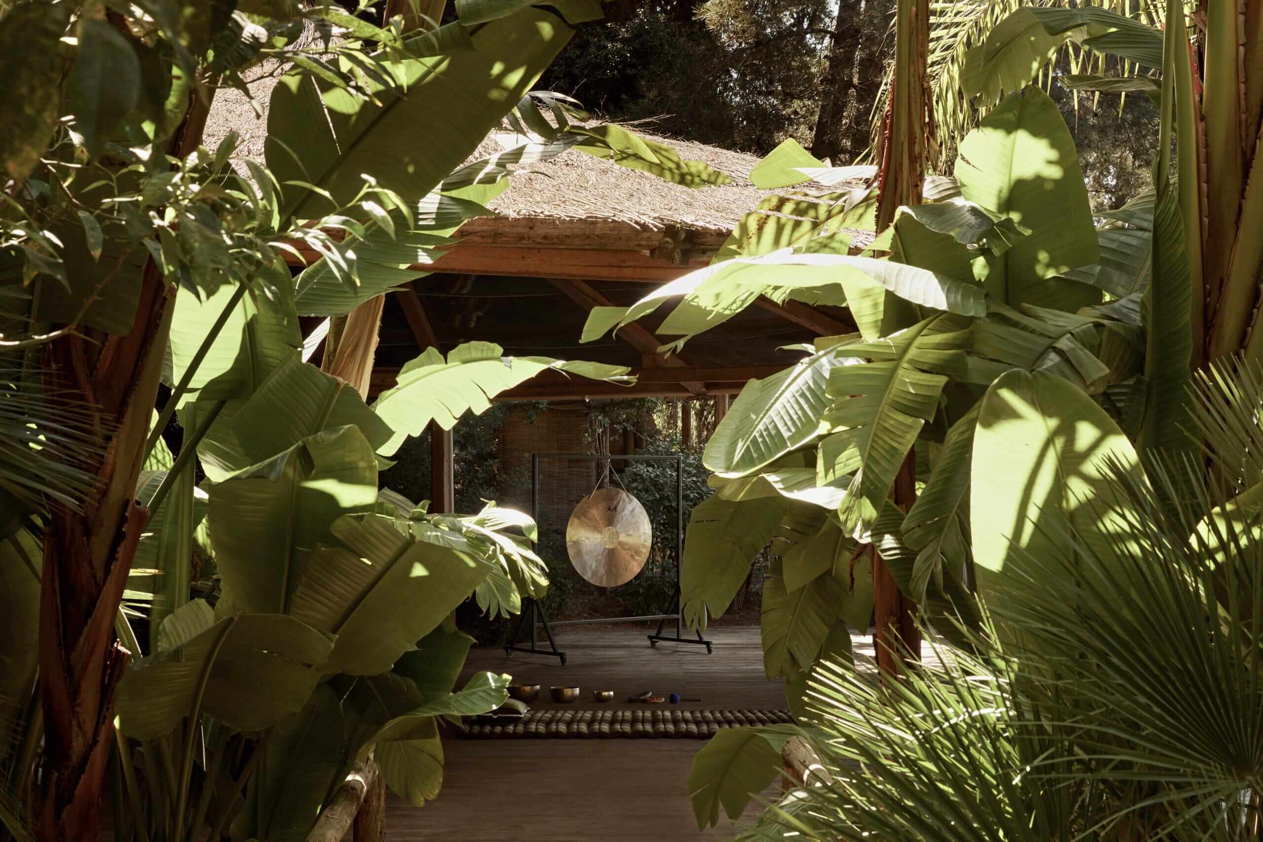 Idor Spa, Europe — Wooden spa pavilion nestled in lush tropical foliage with hanging gong, natural light filtering through banana leaves, serene wellness sanctuary.