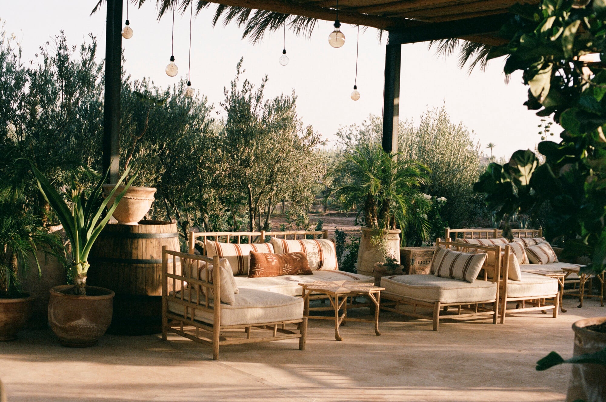 Farasha Farmhouse, Africa — Pergola-shaded lounge with wooden daybed seating, striped cushions, hanging globe lights, olive trees, and desert landscape views.