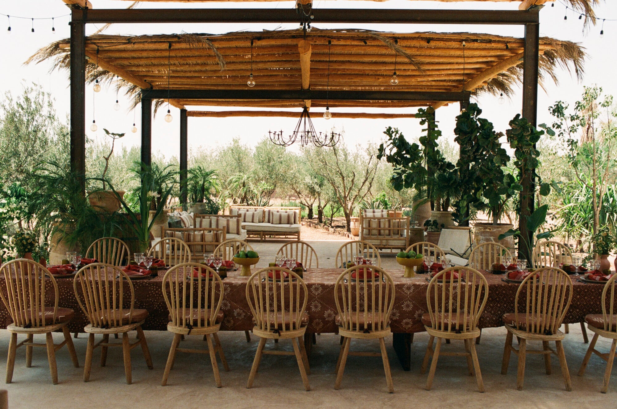 Farasha Farmhouse, Africa — Pergola dining area with wooden chairs, woven roof panels, hanging botanicals, and olive grove views under natural light.