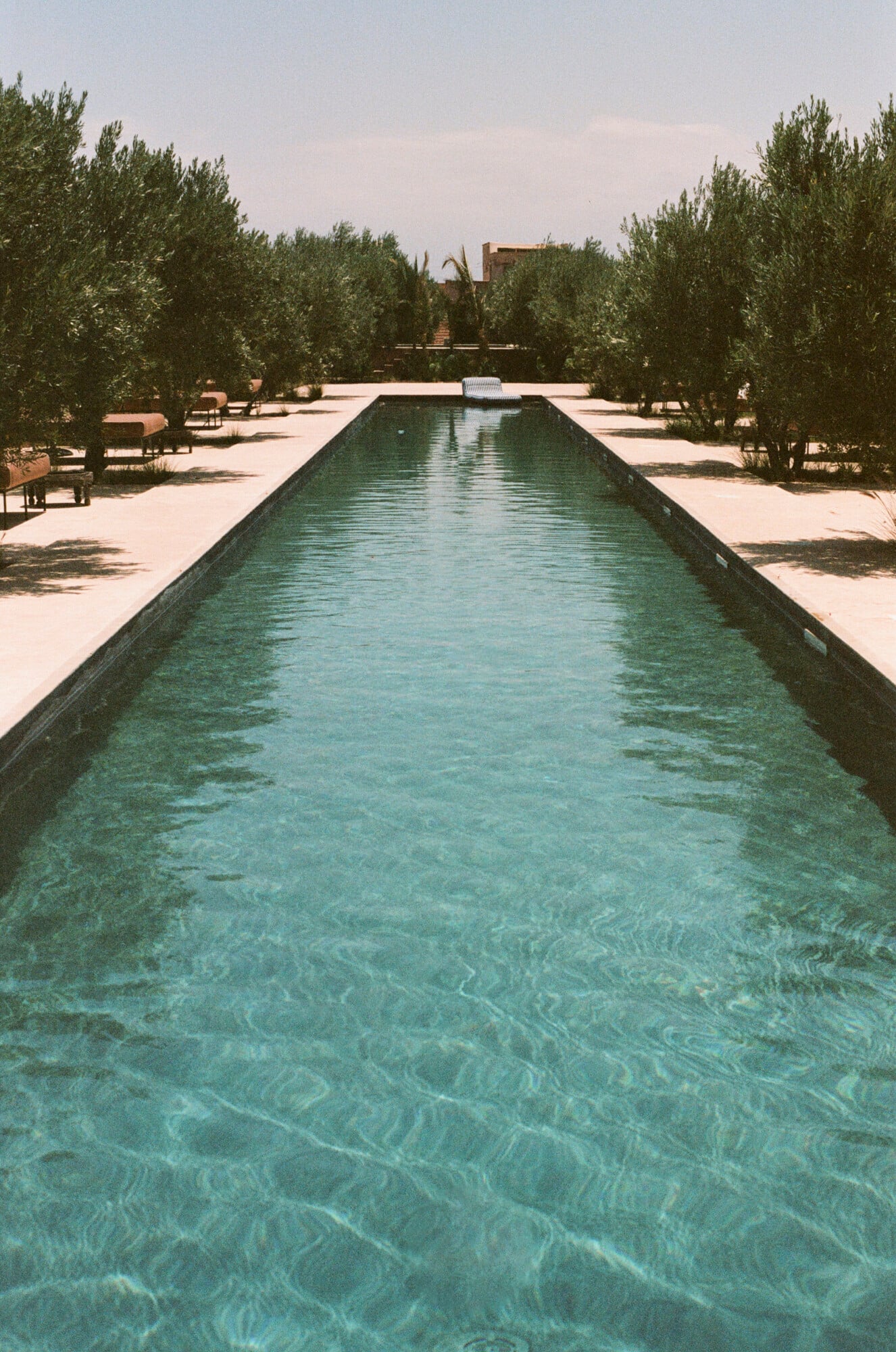 Farasha Farmhouse, Africa — Linear reflecting pool lined with cypress trees and pale stone terraces under clear sky, serene minimalist garden architecture.