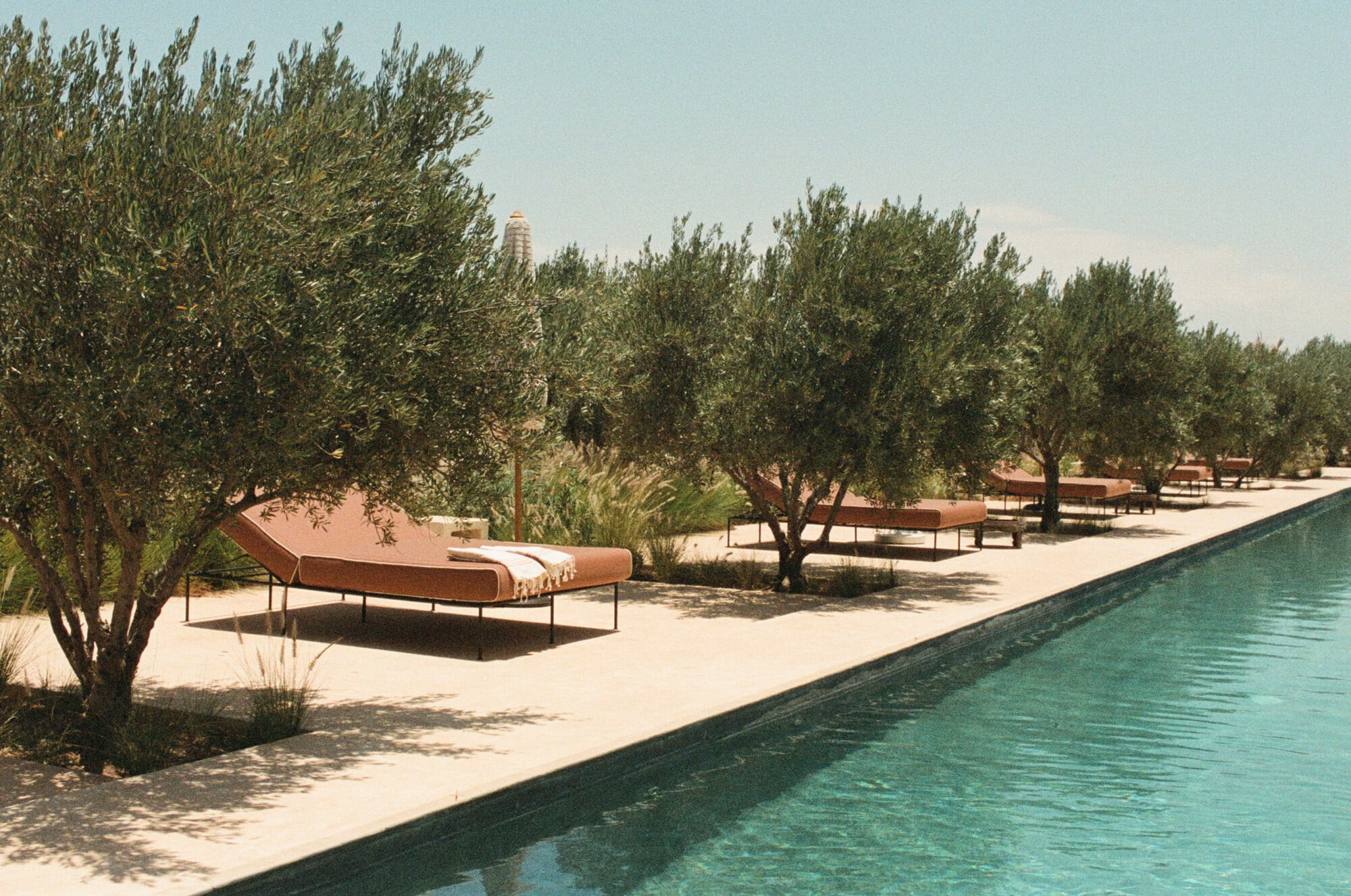 Farasha Farmhouse, Africa — Terracotta loungers beneath olive trees beside turquoise infinity pool, minimalist desert hospitality design with rammed earth architecture.