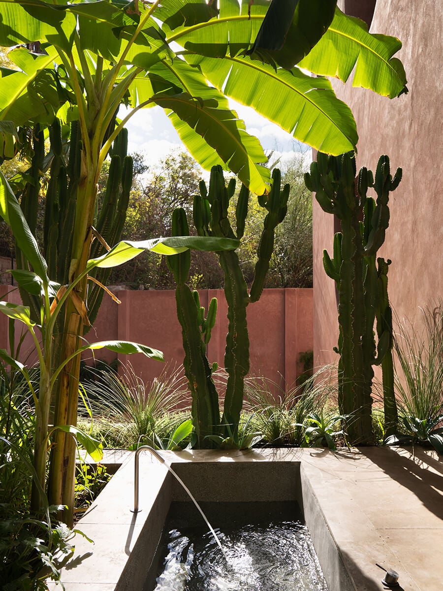 Maison Brummell Majorelle, Africa — Courtyard water feature framed by tall columnar cacti, banana plants, and terracotta walls in modernist garden design.