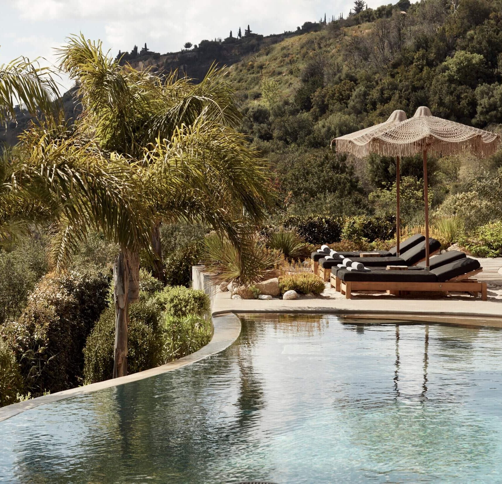F Zeen Retreat, Europe — Infinity pool with palm trees, wooden loungers under fringed umbrella, forested hillside backdrop, natural light.