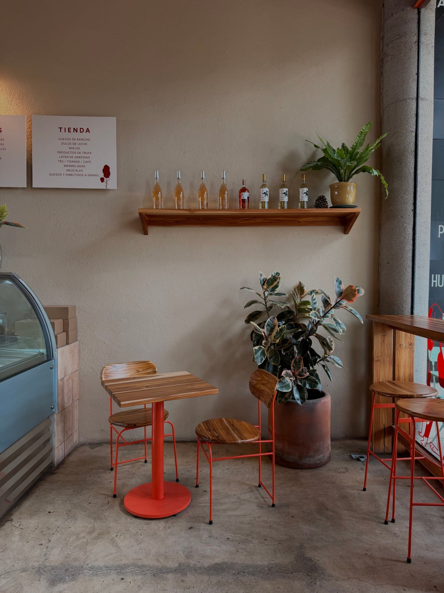 Focacciamama, Mexico — Minimalist café interior with red metal chairs, wooden tables, concrete floors, potted plants, and wine bottles on floating shelf.