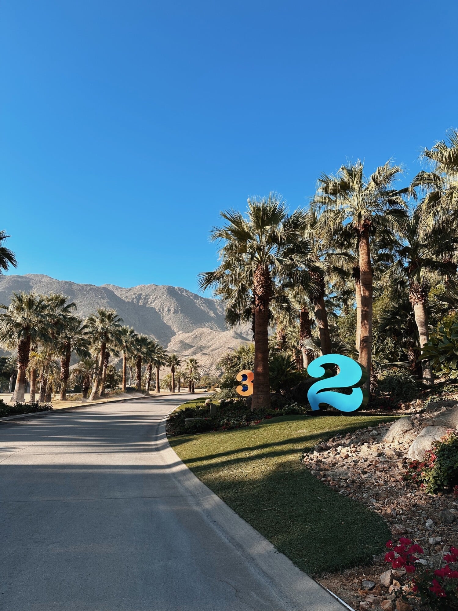 Art Tour — Palm-lined driveway with mid-century modern signage, desert mountains, clear blue sky, luxury resort entrance in Palm Springs.