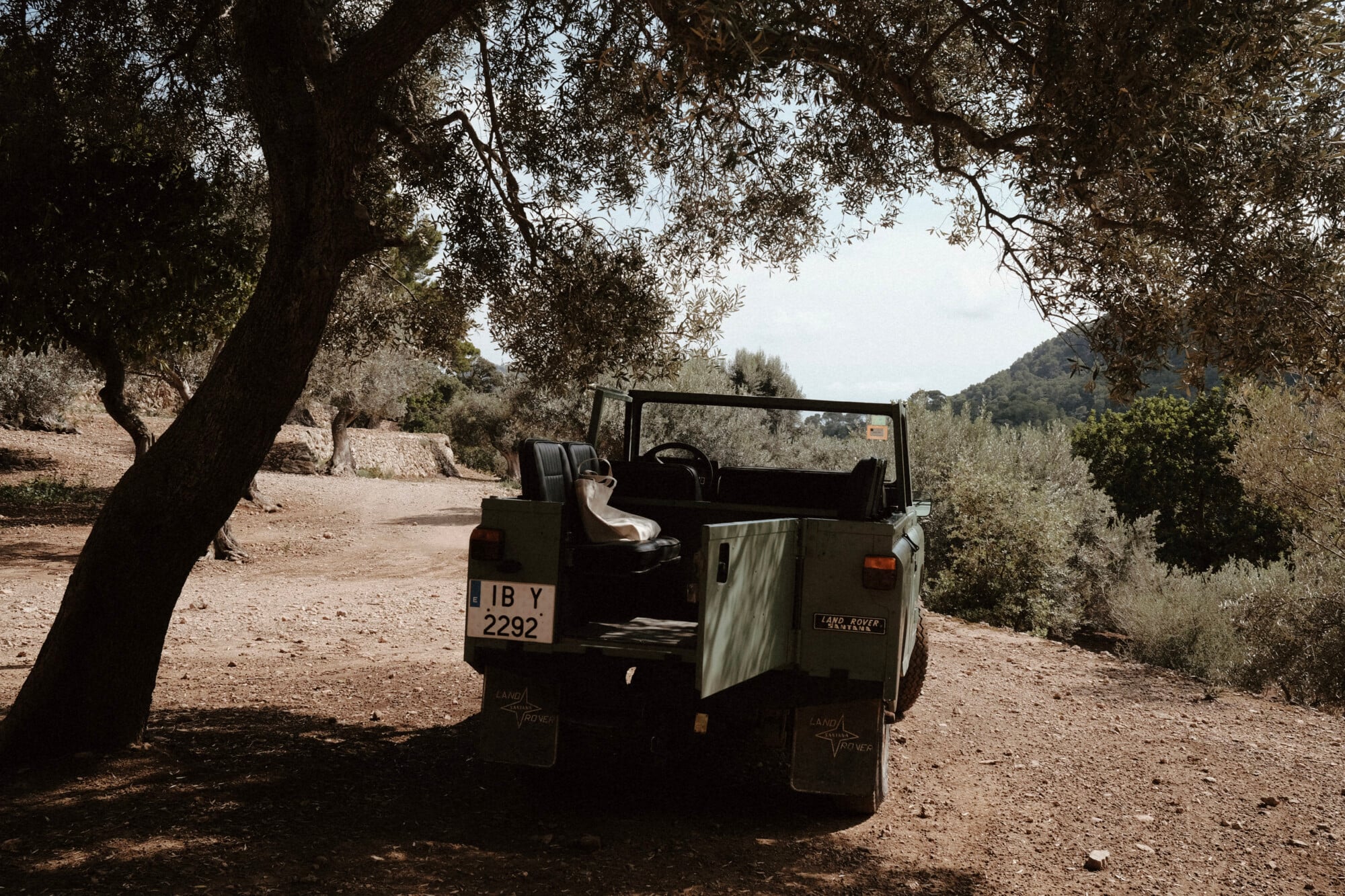 Vintage Land Rover parked beneath gnarled olive trees in a Mediterranean landscape, door open to dusty terrain.