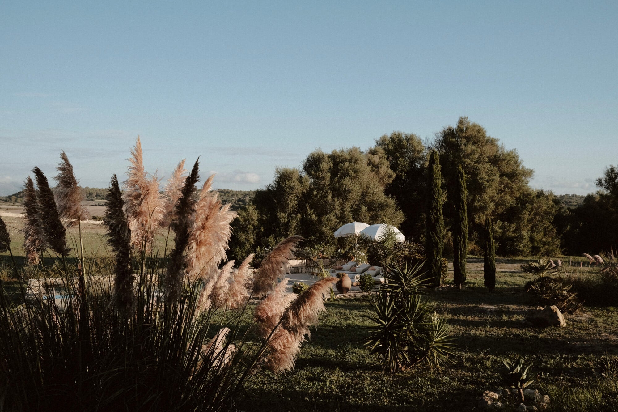 Pampas grass and cypress trees frame white umbrellas beside a pool at Vista Verde, golden afternoon light across the Balearic landscape.