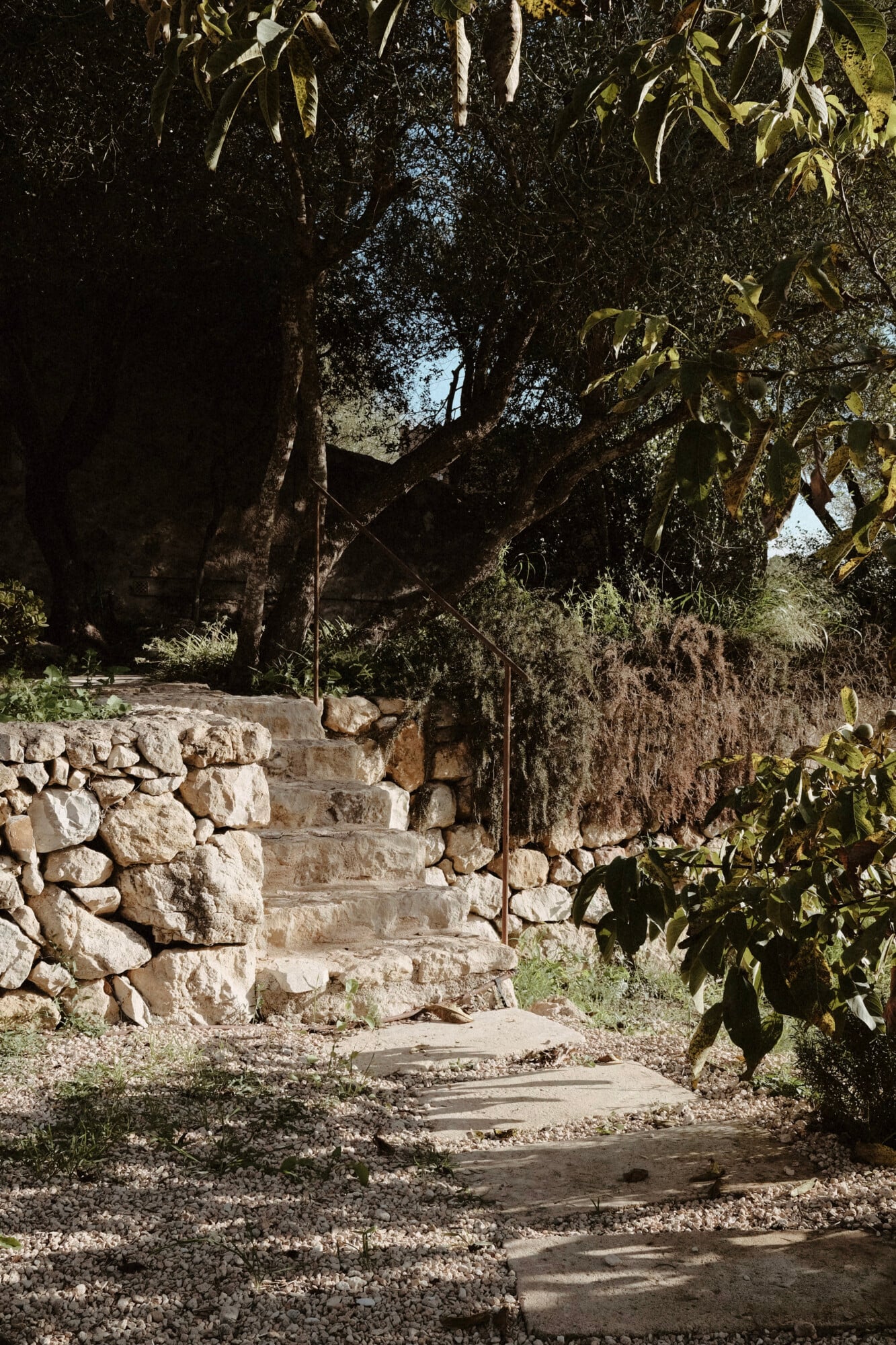 Vista Verde, Balearic Islands — Stone staircase beneath ancient olive trees with iron railing, dappled sunlight filtering through canopy, Mediterranean garden pathway.